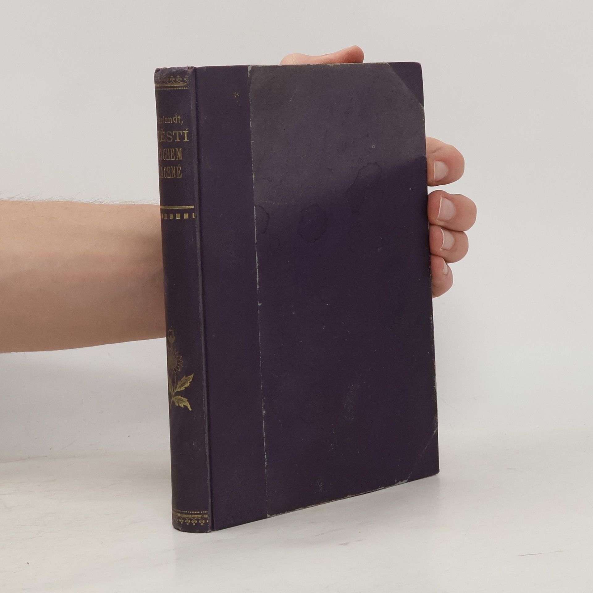 Julius Skarlandt Štěstí hříchem zlacené