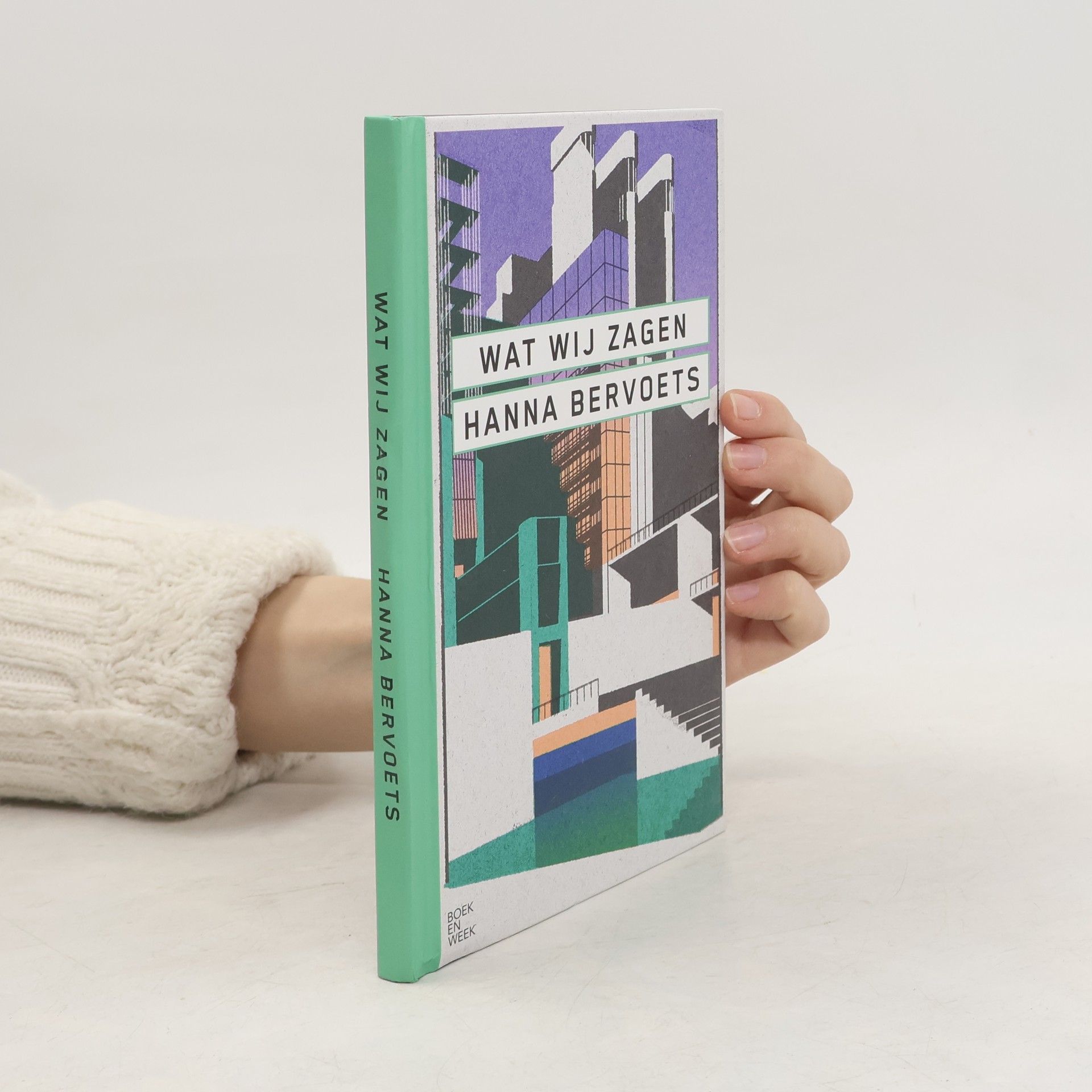 Hanna Bervoets Wat wij zagen