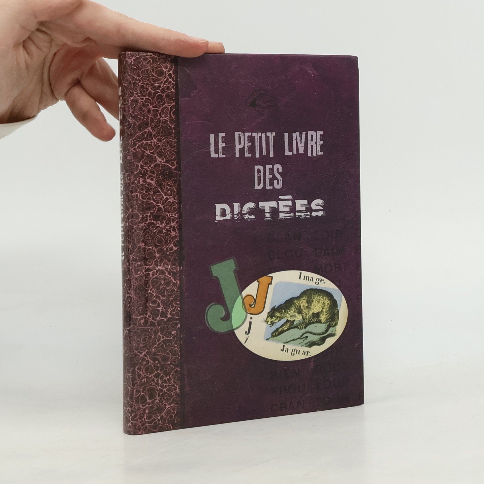 Volcy Loustau Le petit livre des dictées