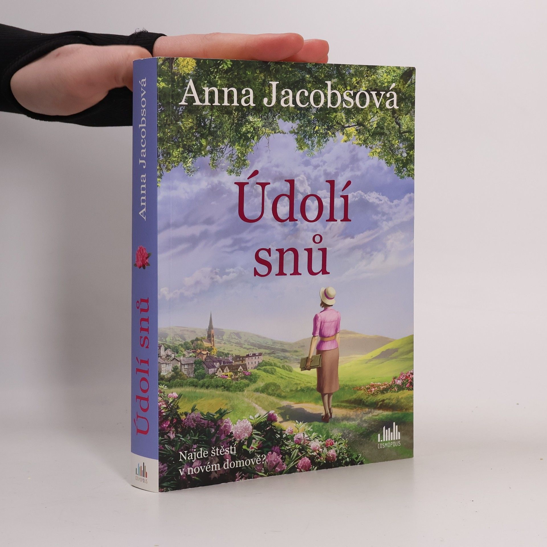 Anna Jacobs Údolí snů