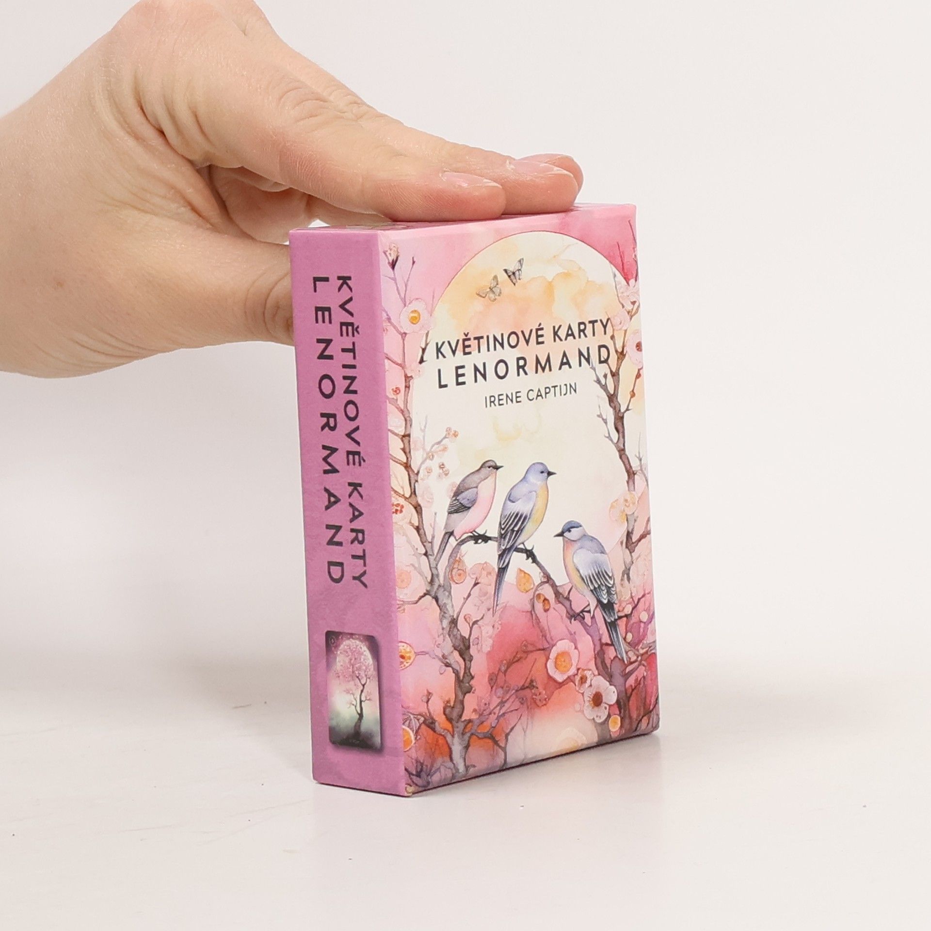 Irene Captijn Květinové karty Lenormand - Kniha a 36 karet