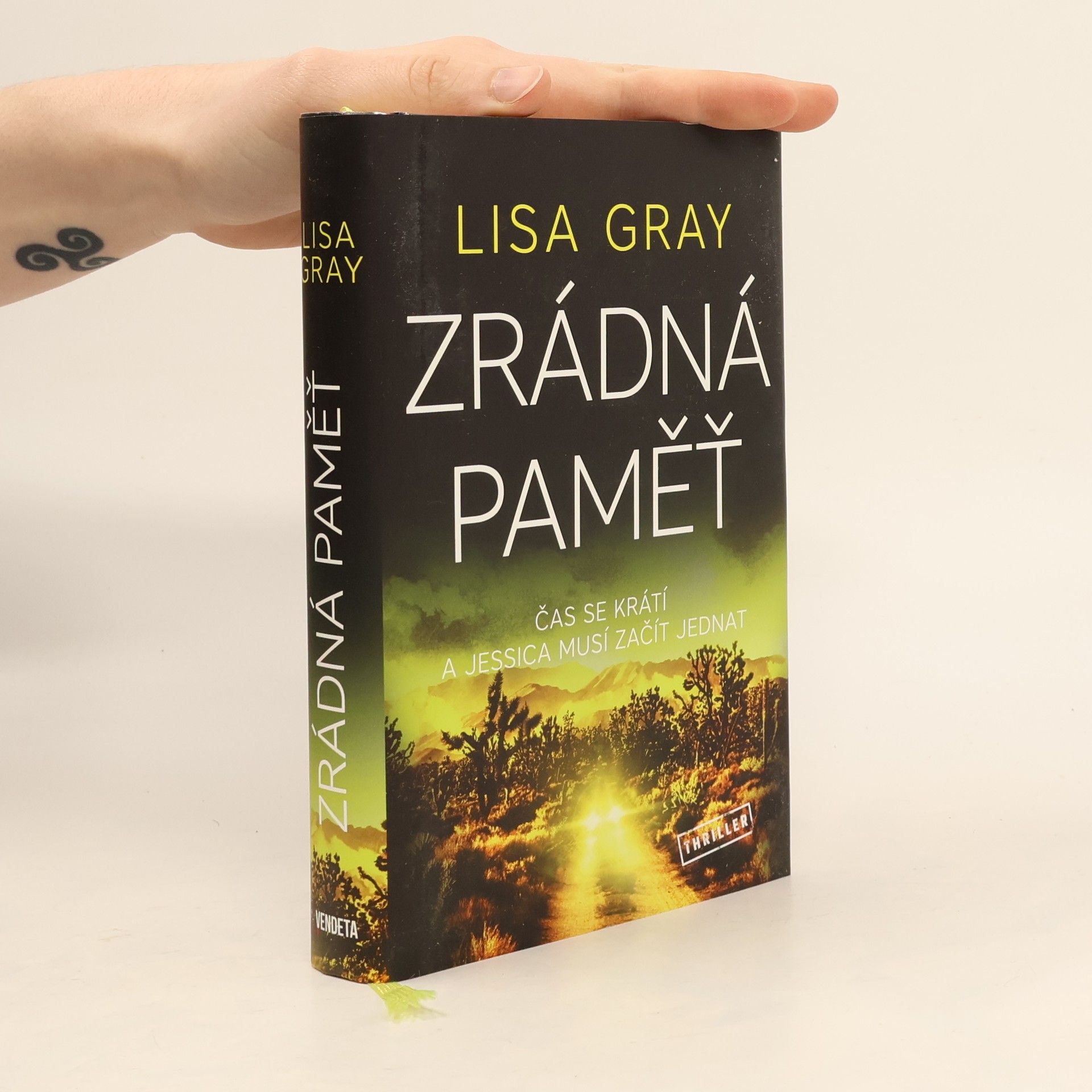 Lisa Gray Zrádná paměť
