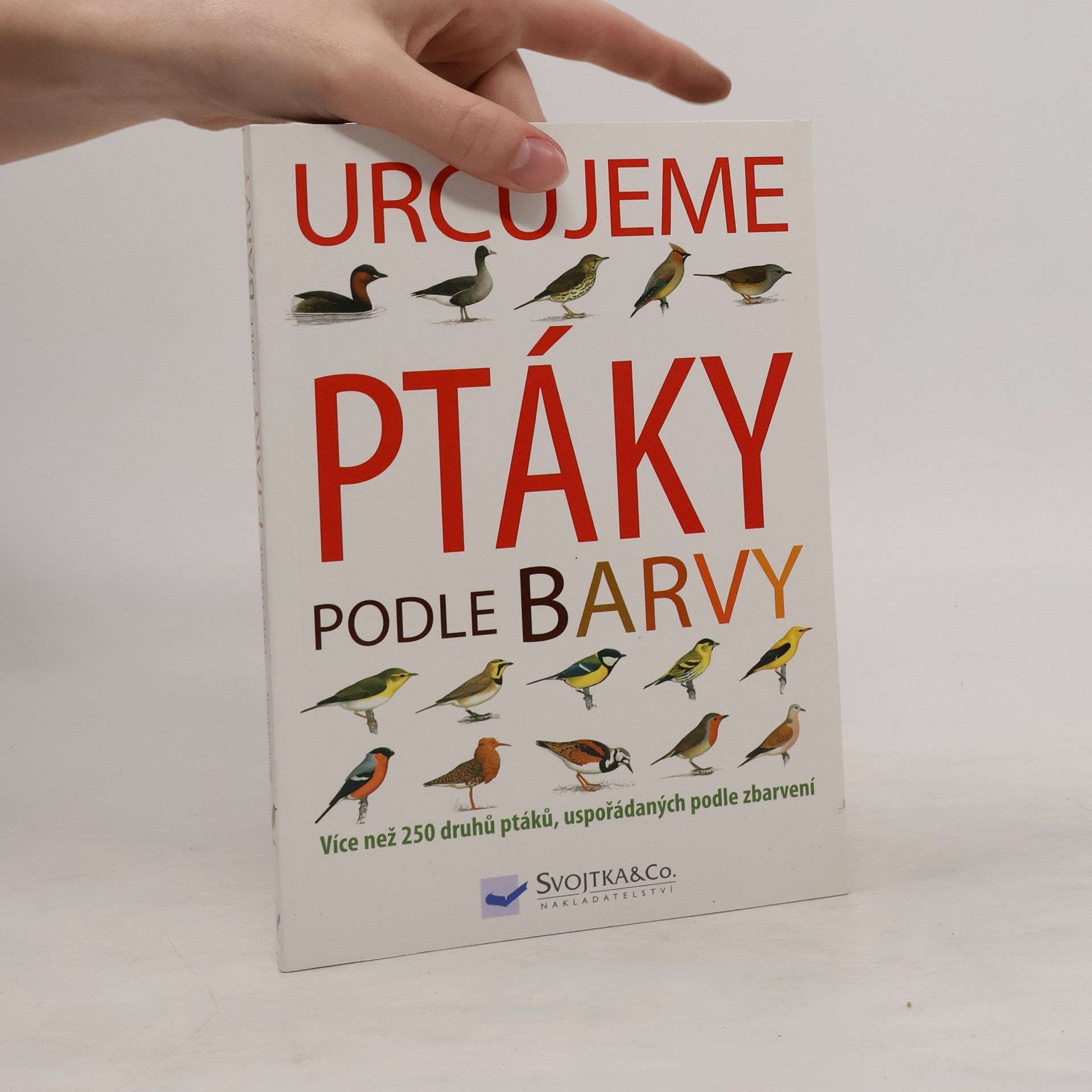Moss Taylor Určujeme ptáky podle barvy