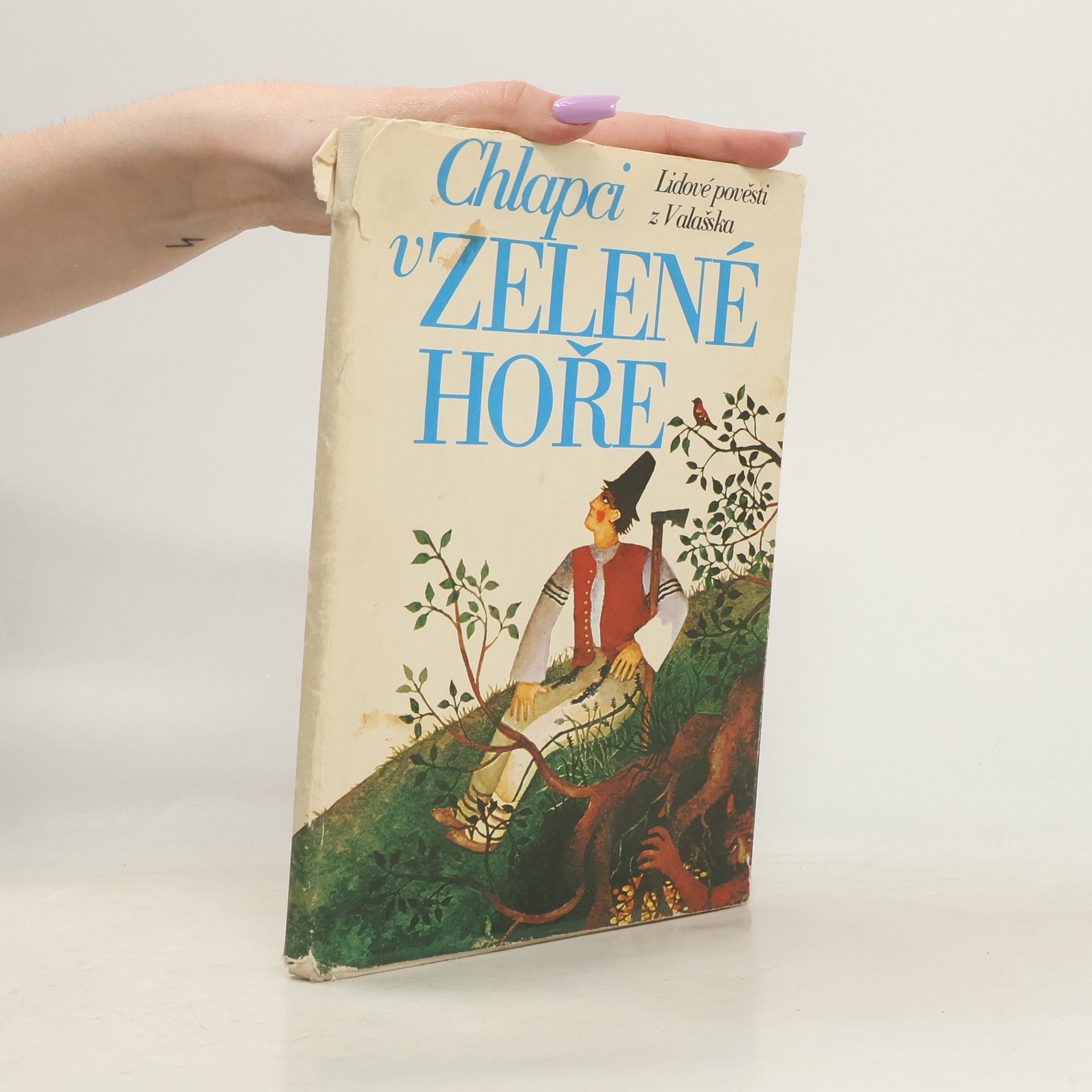 Eva Kilianová Chlapci v zelené hoře