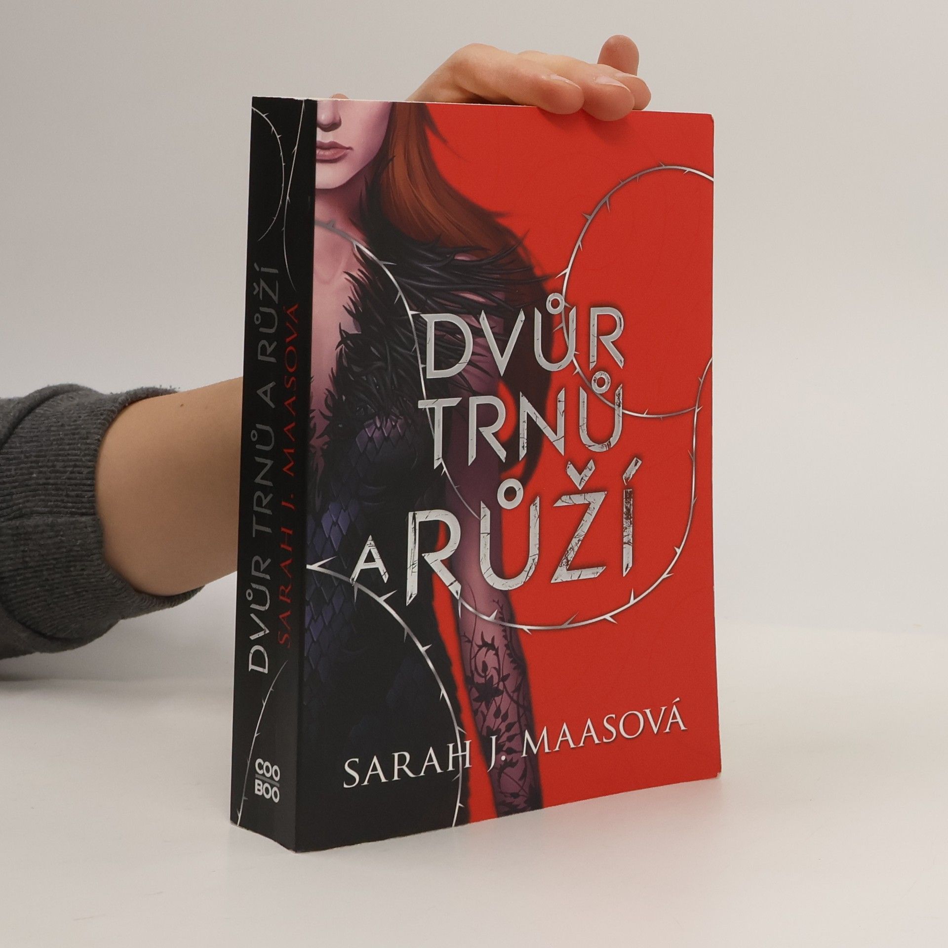 Sarah J. Maas Dvůr trnů a růží