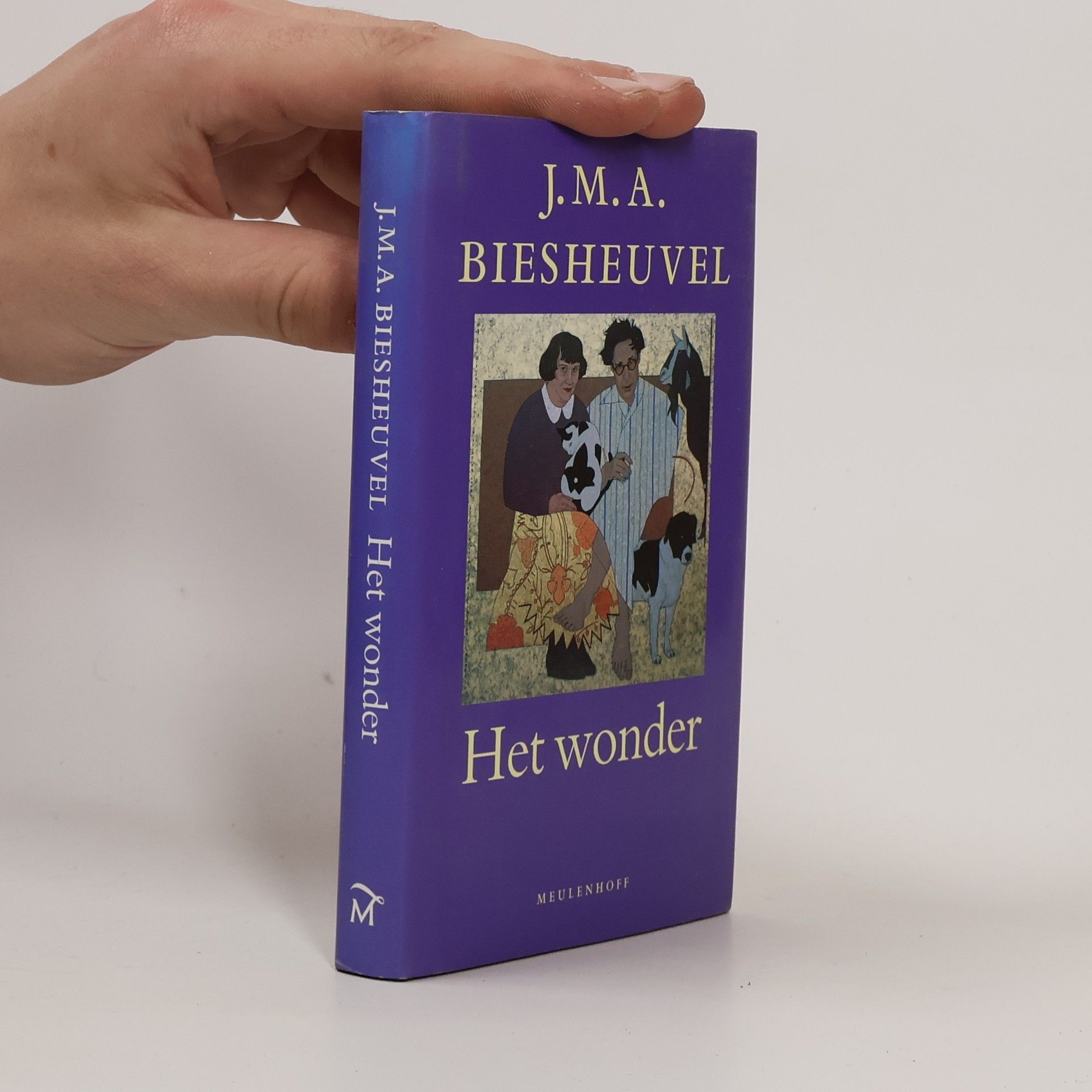 Jacobus Martinus Arend Biesheuvel Het wonder