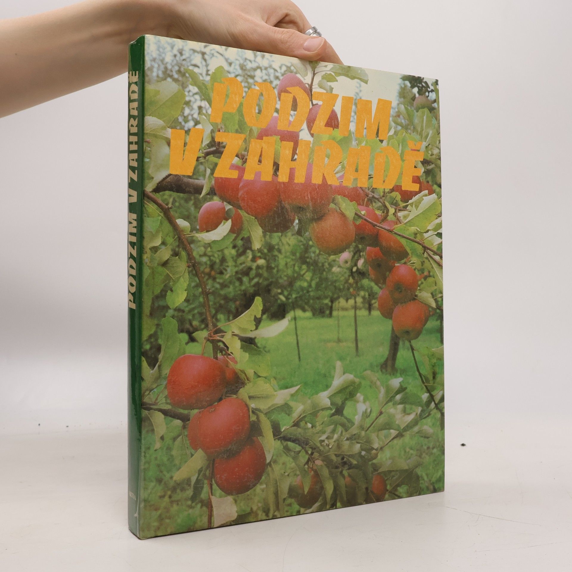 Kolektiv autorů Podzim v zahradě