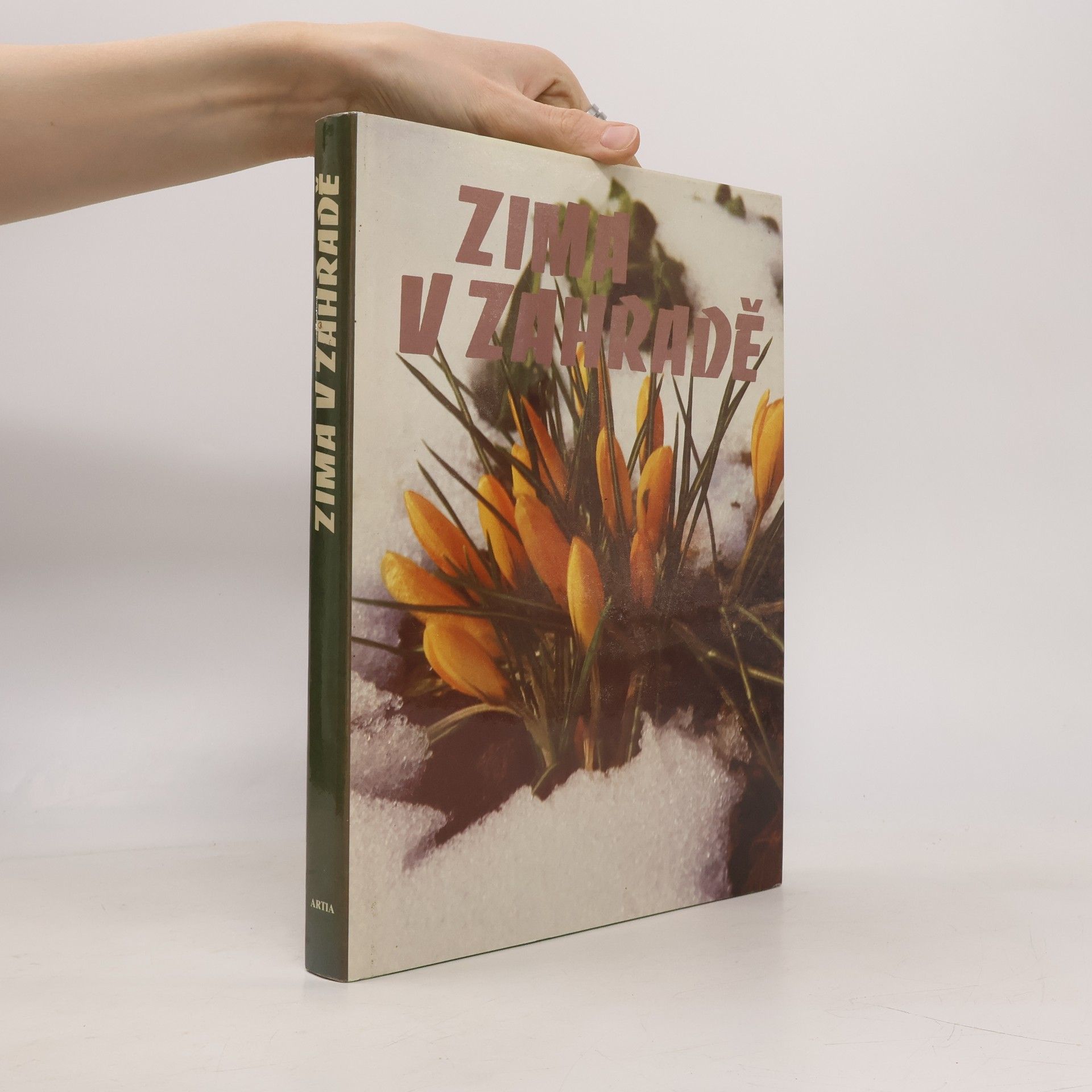 Autores varios Zima v zahradě