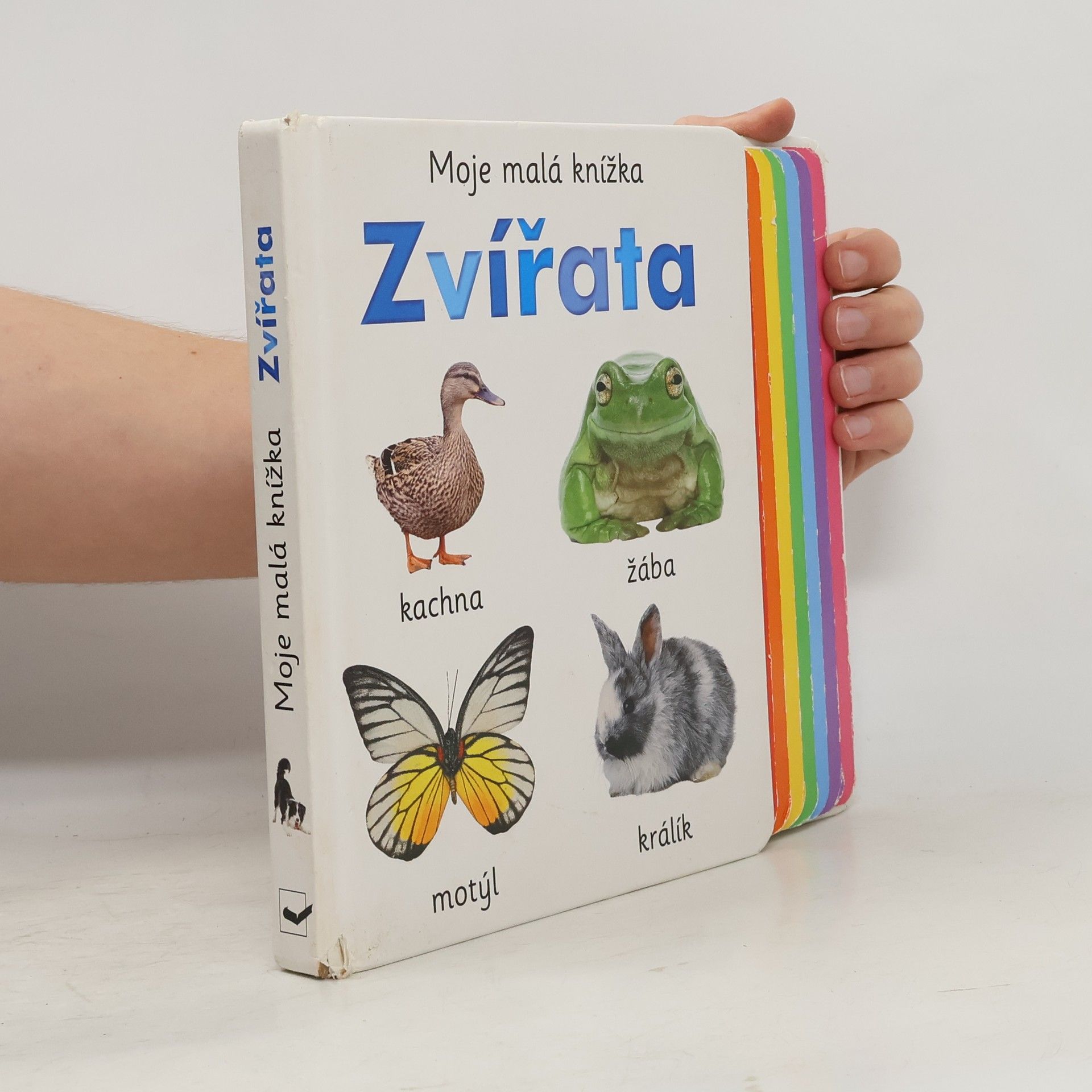 Autorenkollektiv Moje malá knížka. Zvířata