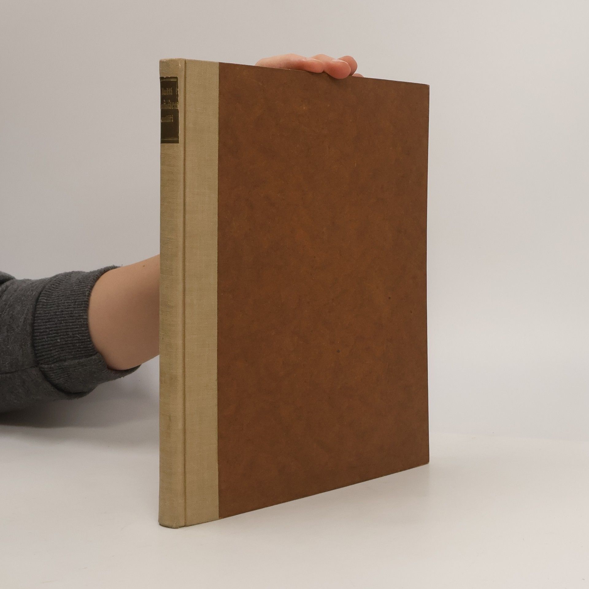 Vladimír Fiala Ruští realištičtí malíři XIX. století