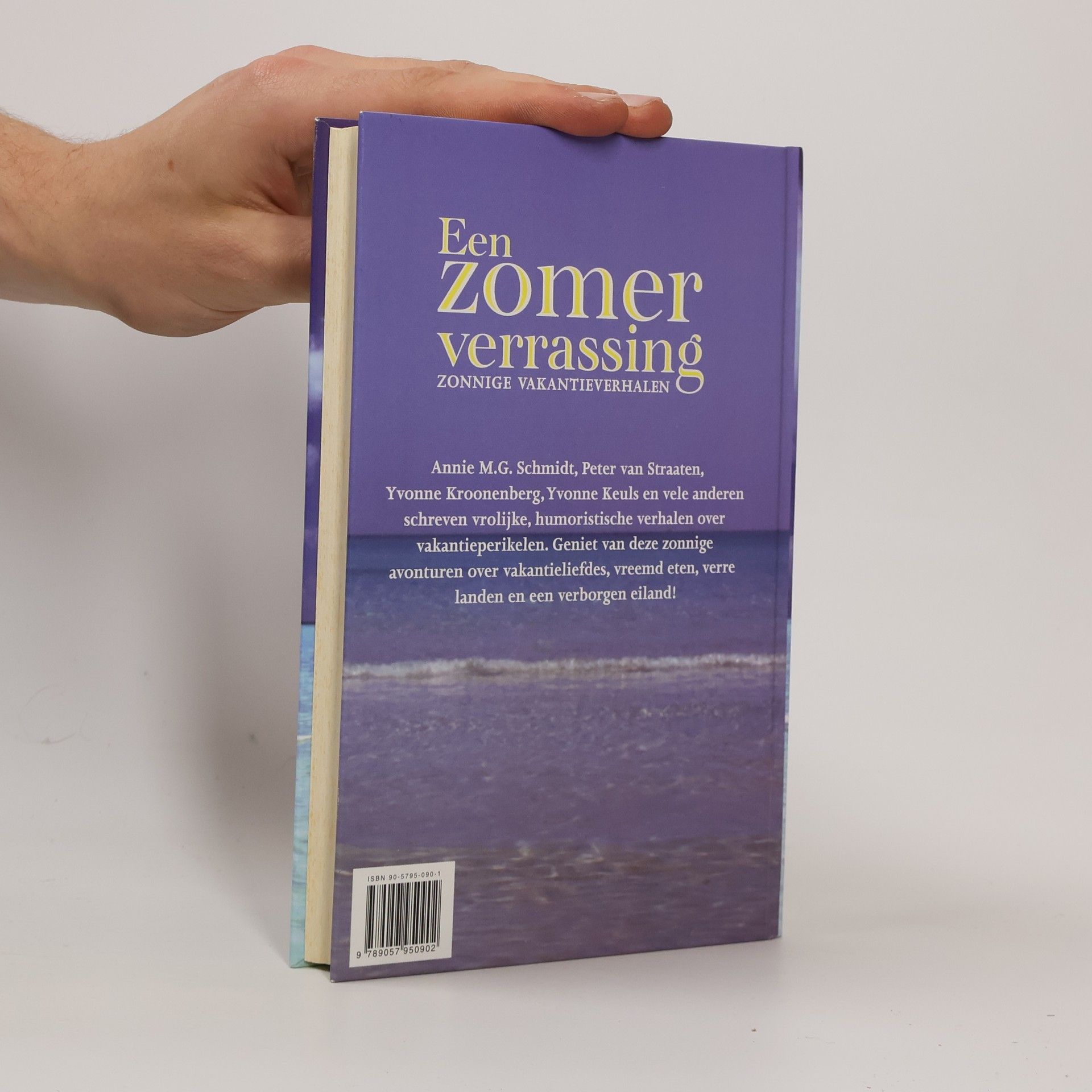 Herman Pieter de Boer Een zomerverrassing