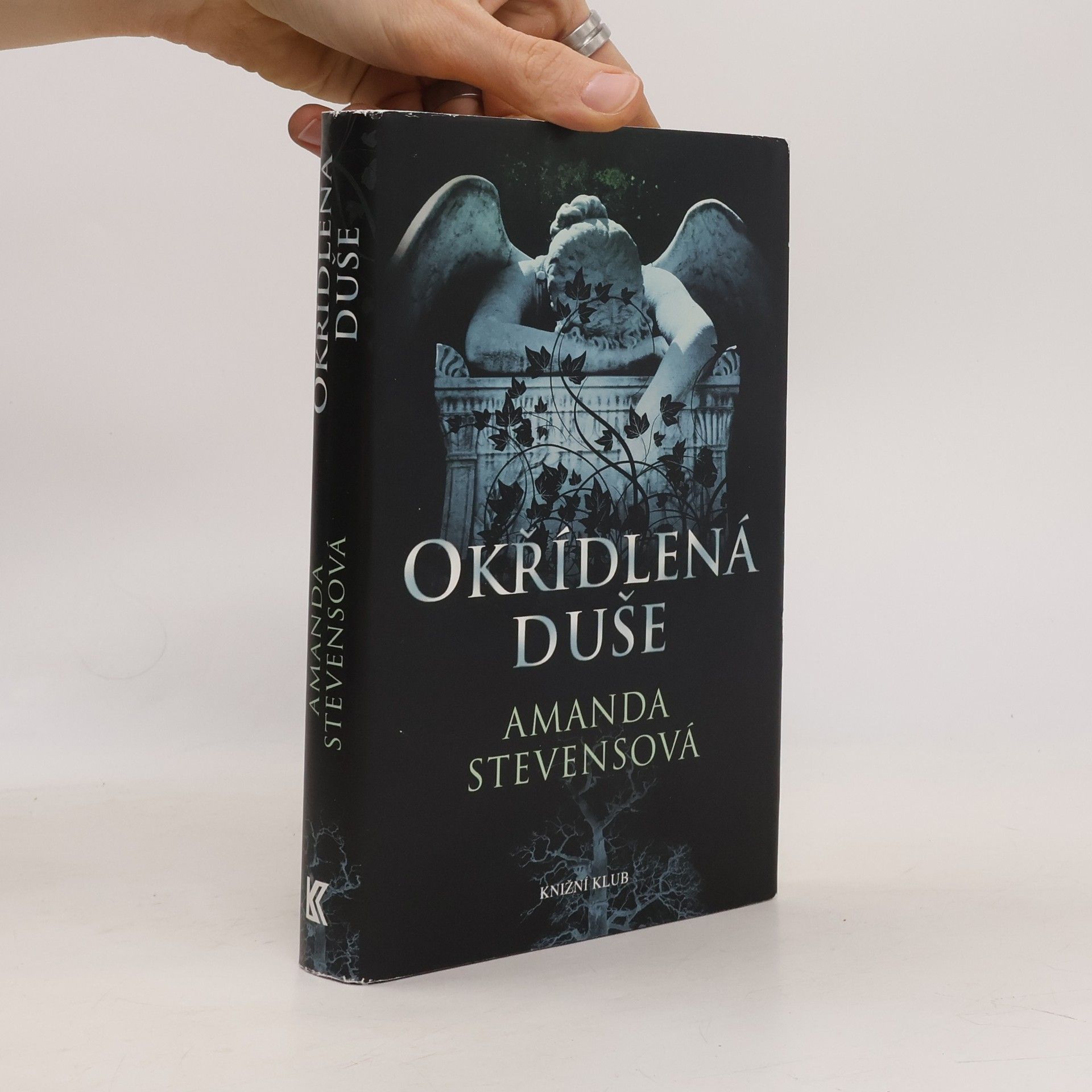 Amanda Stevens Okřídlená duše