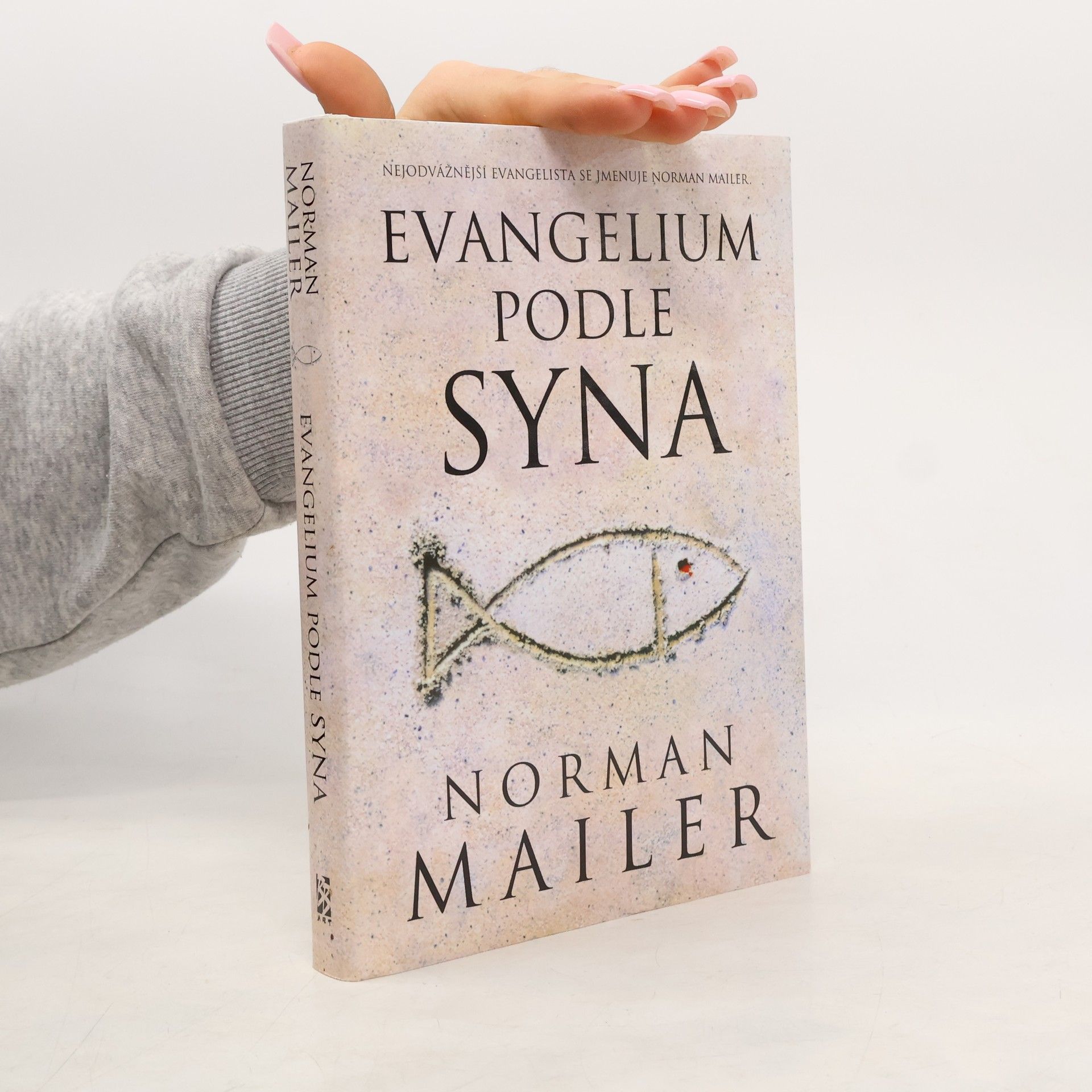 Norman Mailer Evangelium podle syna