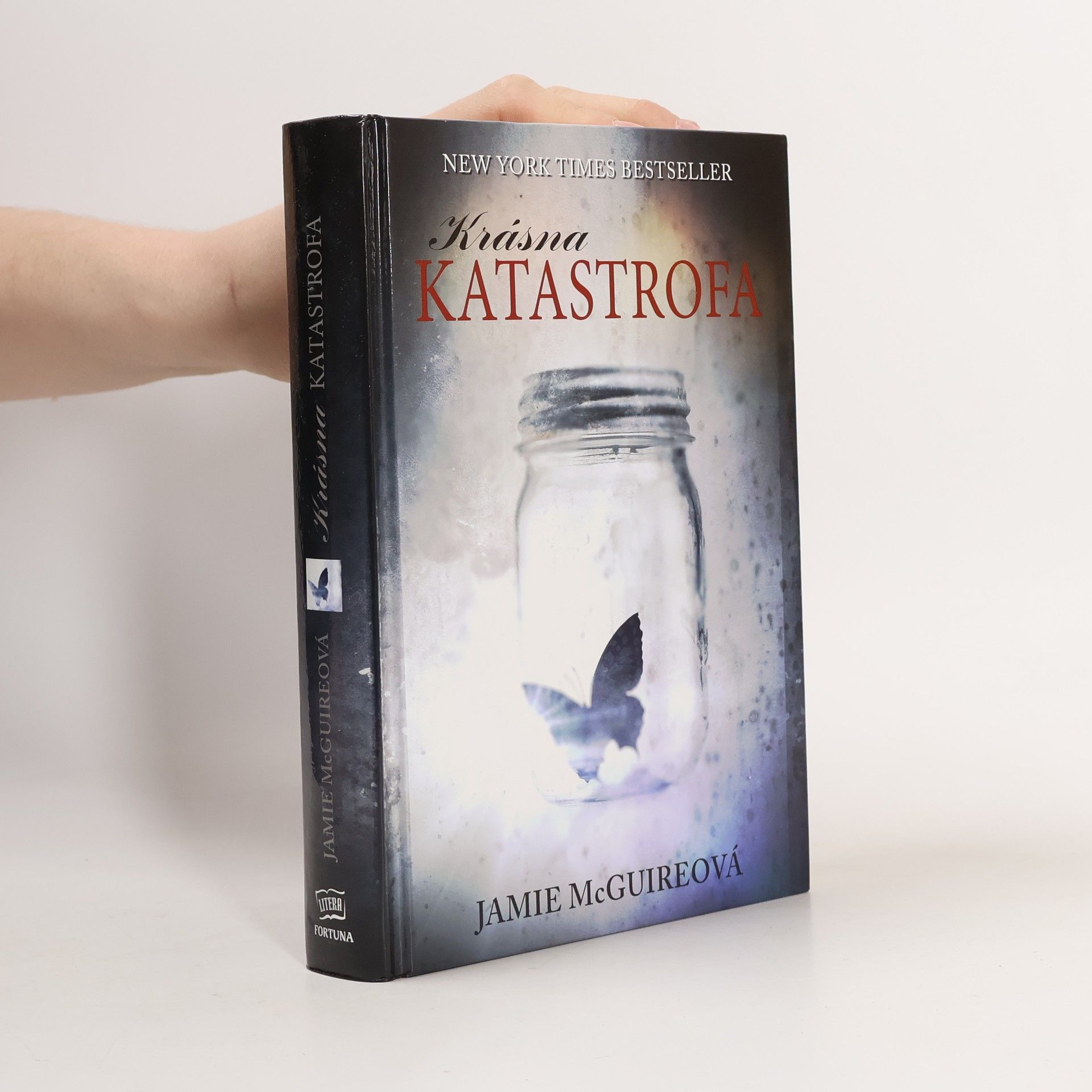 Jamie McGuire Krásná katastrofa