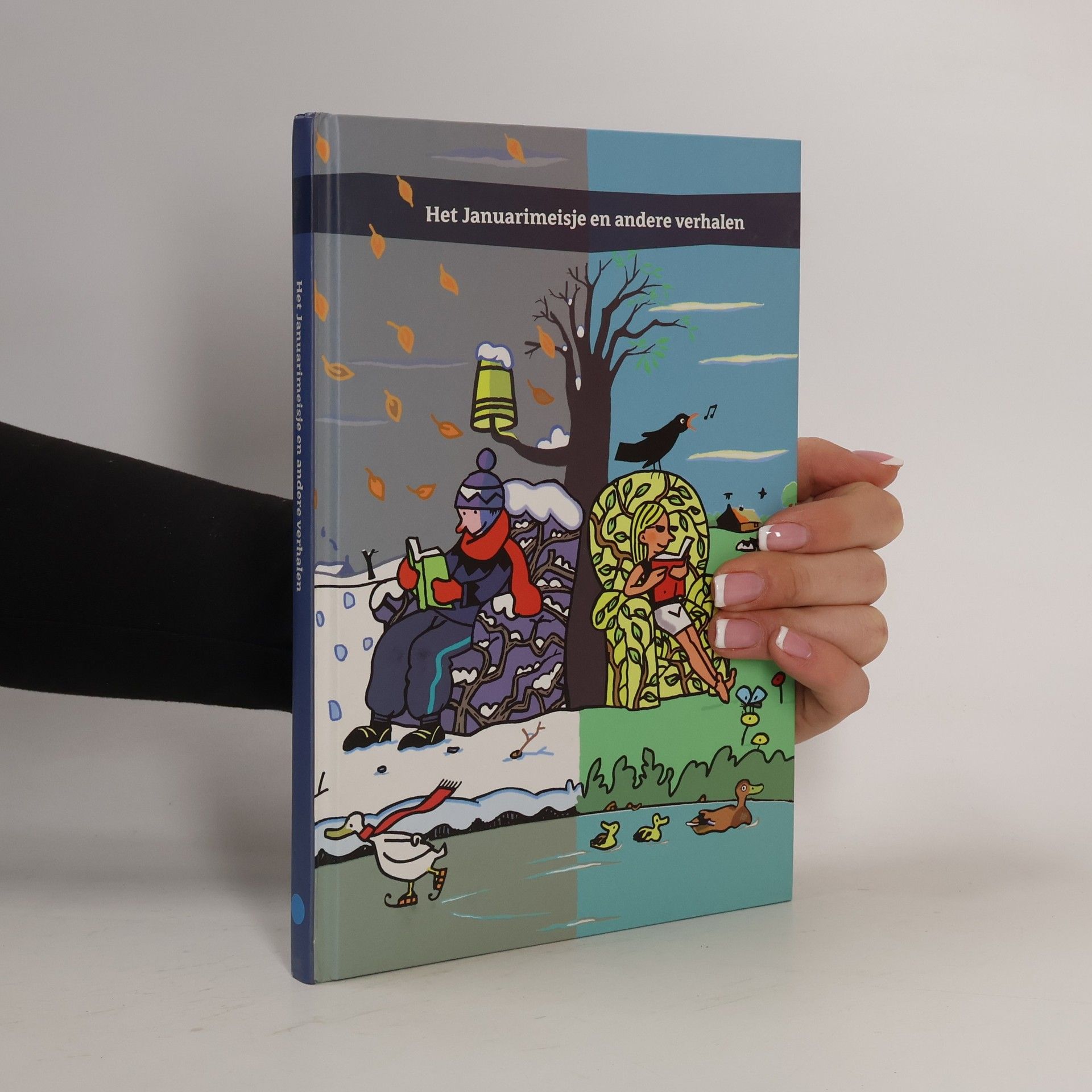 Autorenkollektiv Het Januarimeisje en andere verhalen