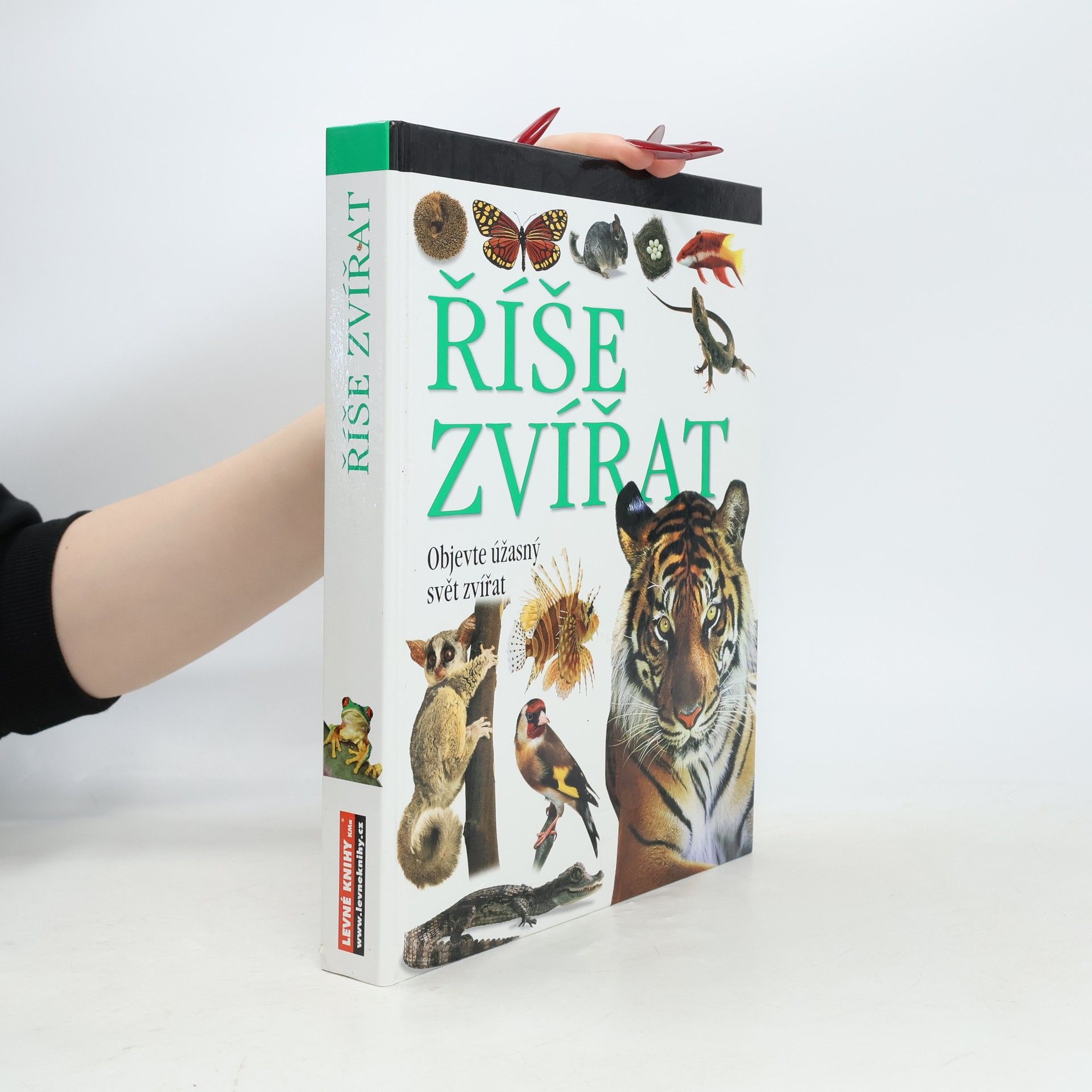 Autorenkollektiv Říše zvířat
