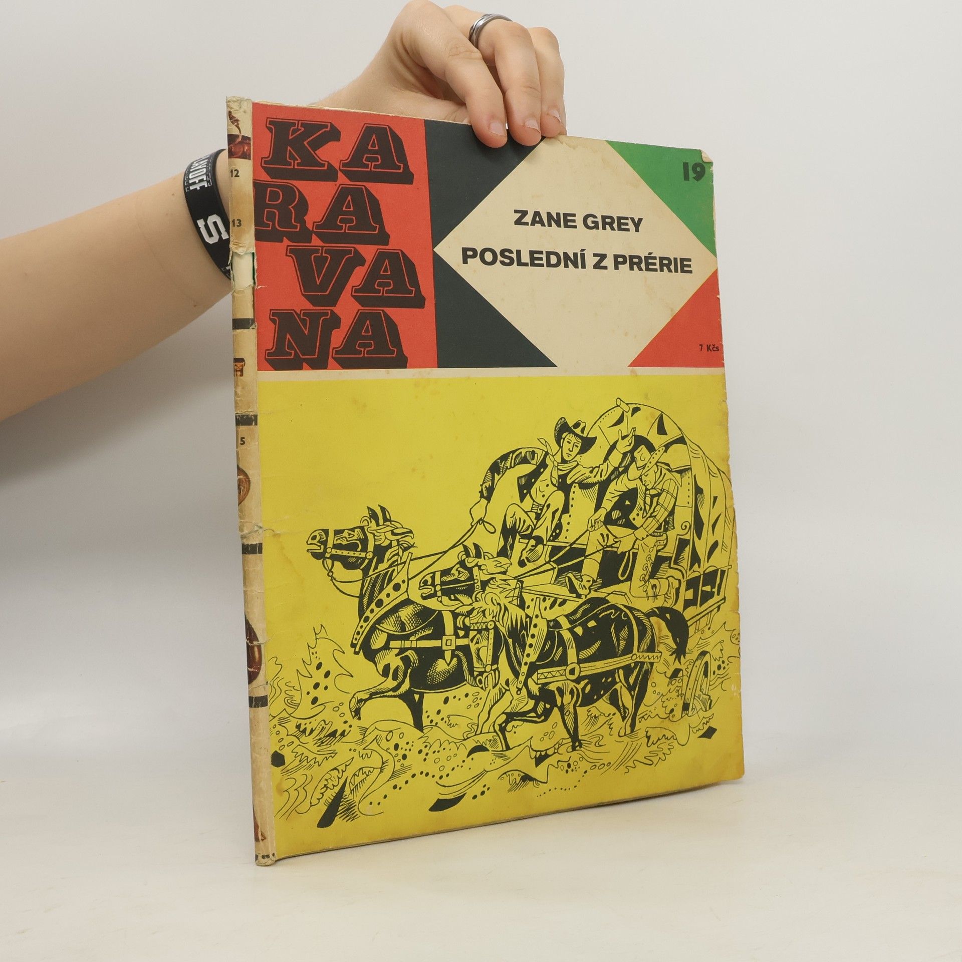 Zane Grey Poslední z prérie