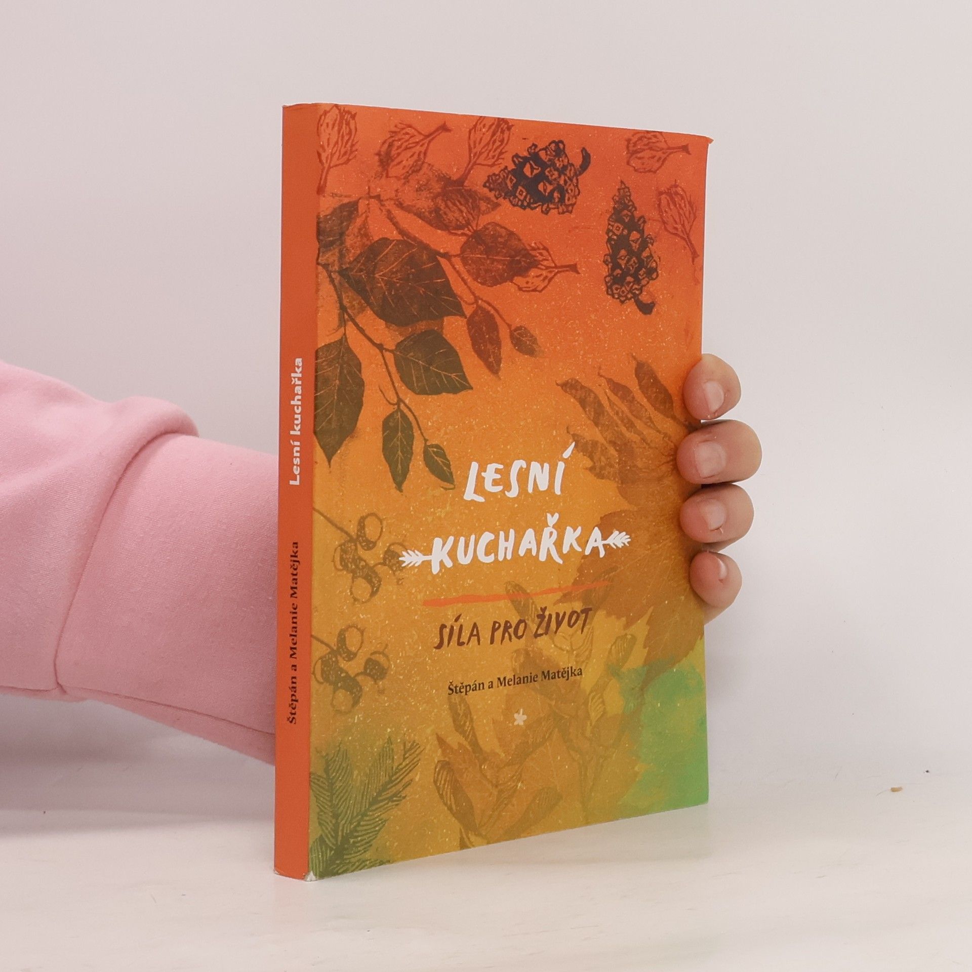 Štěpán Matějka Lesní kuchařka