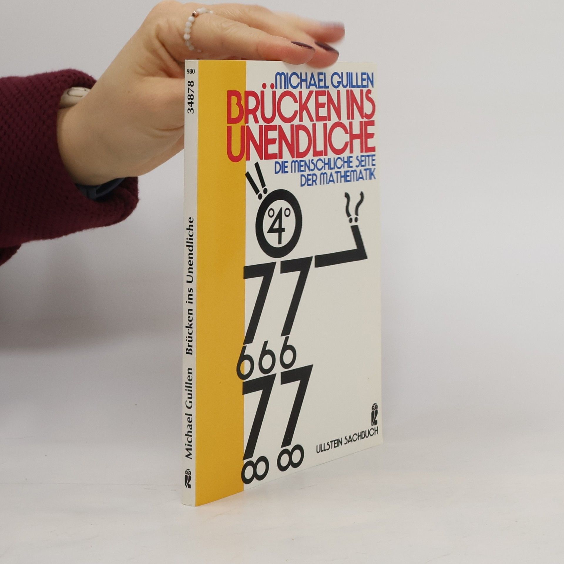 Michael Guillen Brücken ins Unendliche