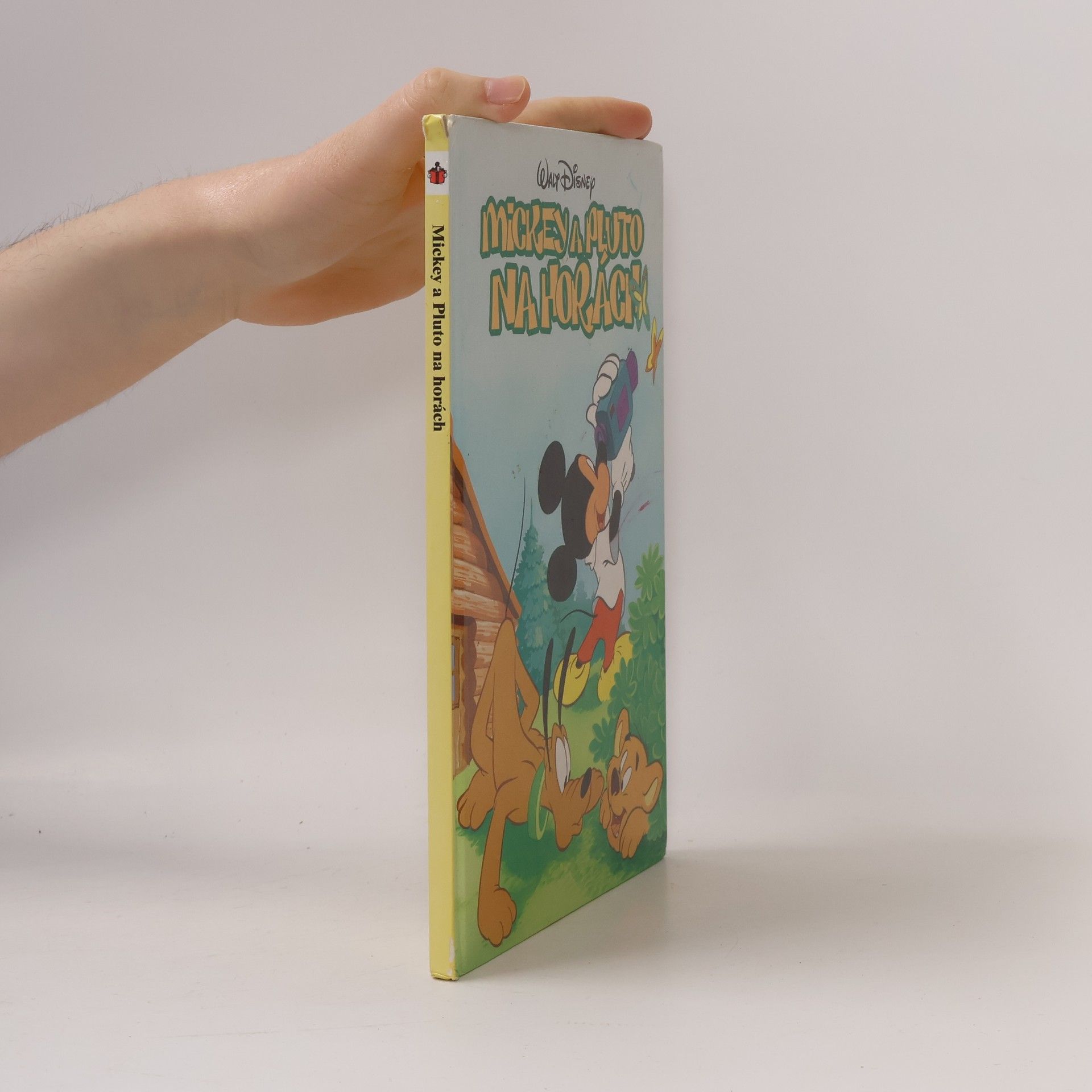 Petra Křížová Mickey a Pluto na horách