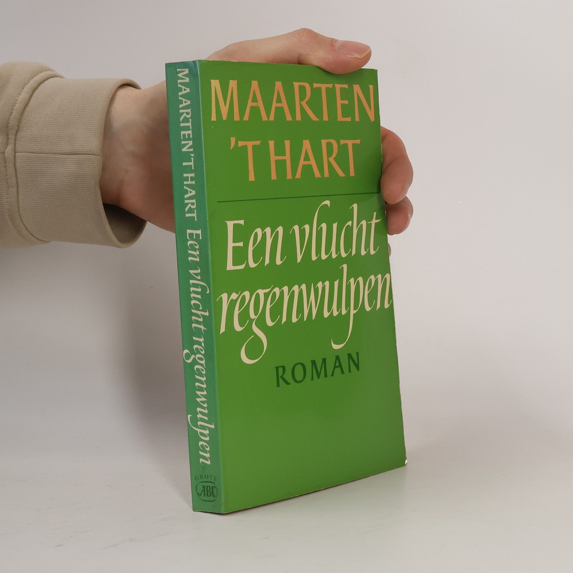 Maarten ’t Hart Een vlucht regenwulpen