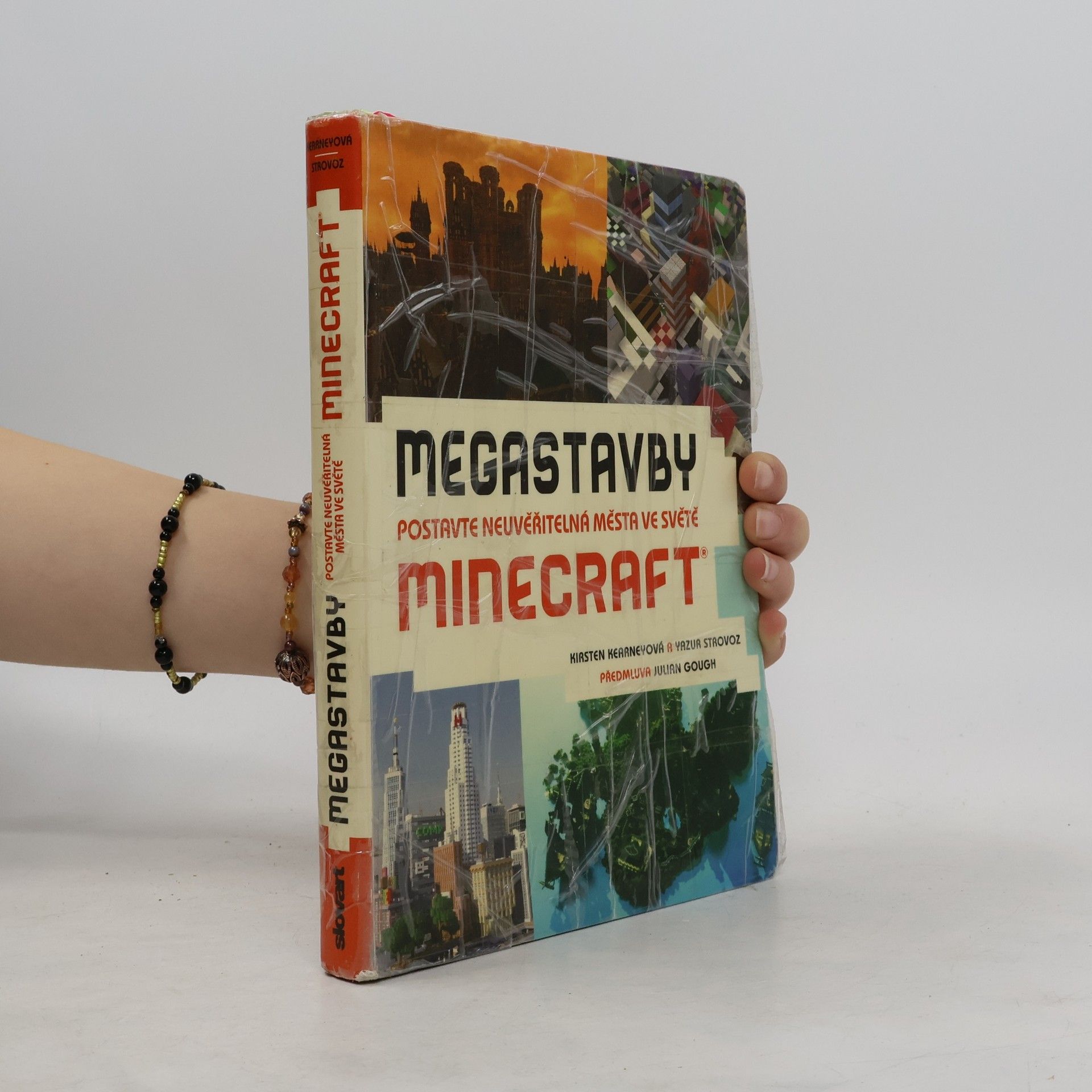 Matyáš Frydrych Megastavby. Postavte neuvěřitelná města ve světě Minecraft