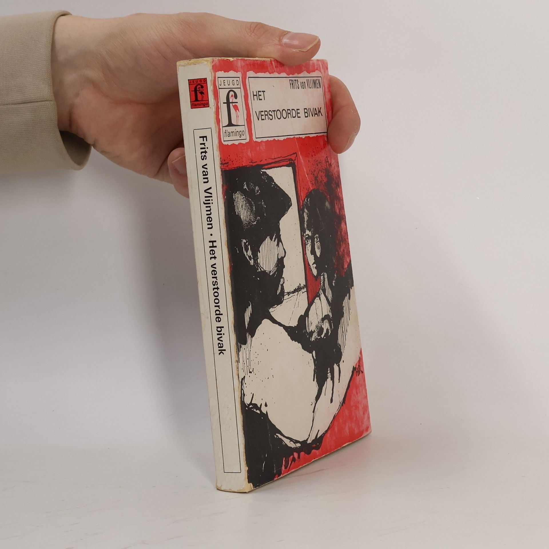 Frits van Vlijmen Het verstoorde bivak