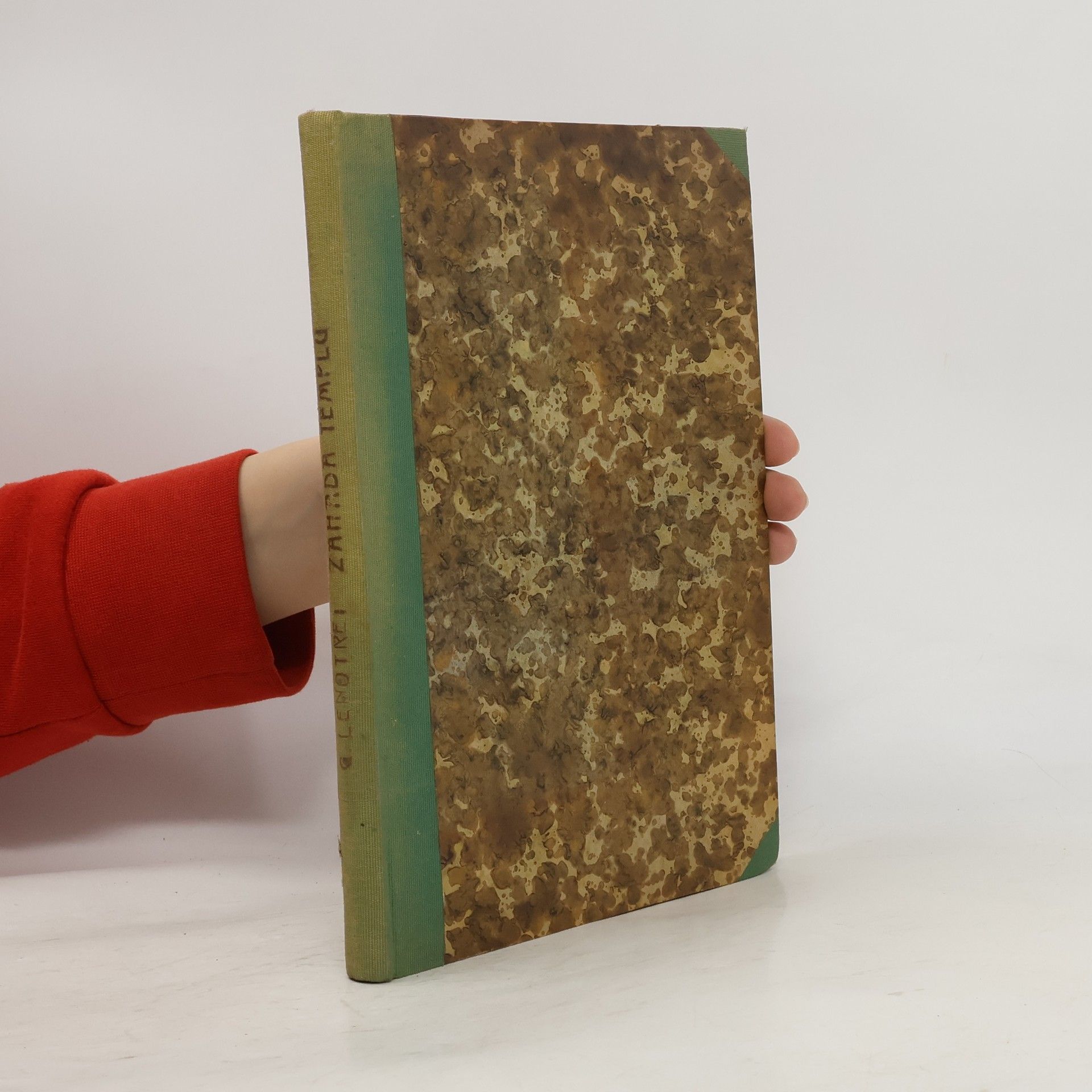 Záhada templu (Král Ludvík XVII.)