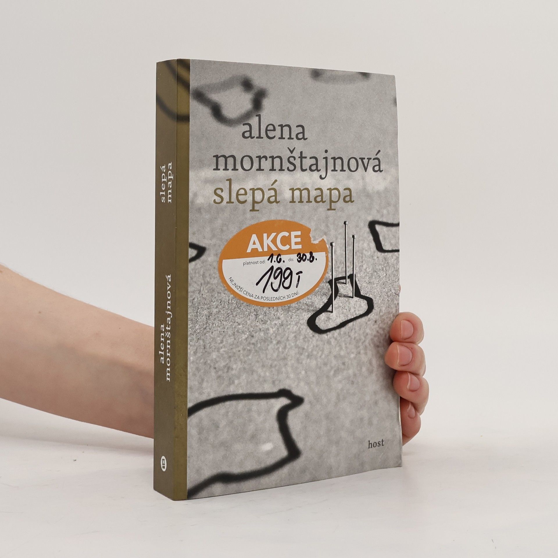 Alena Mornštajnová Slepá mapa