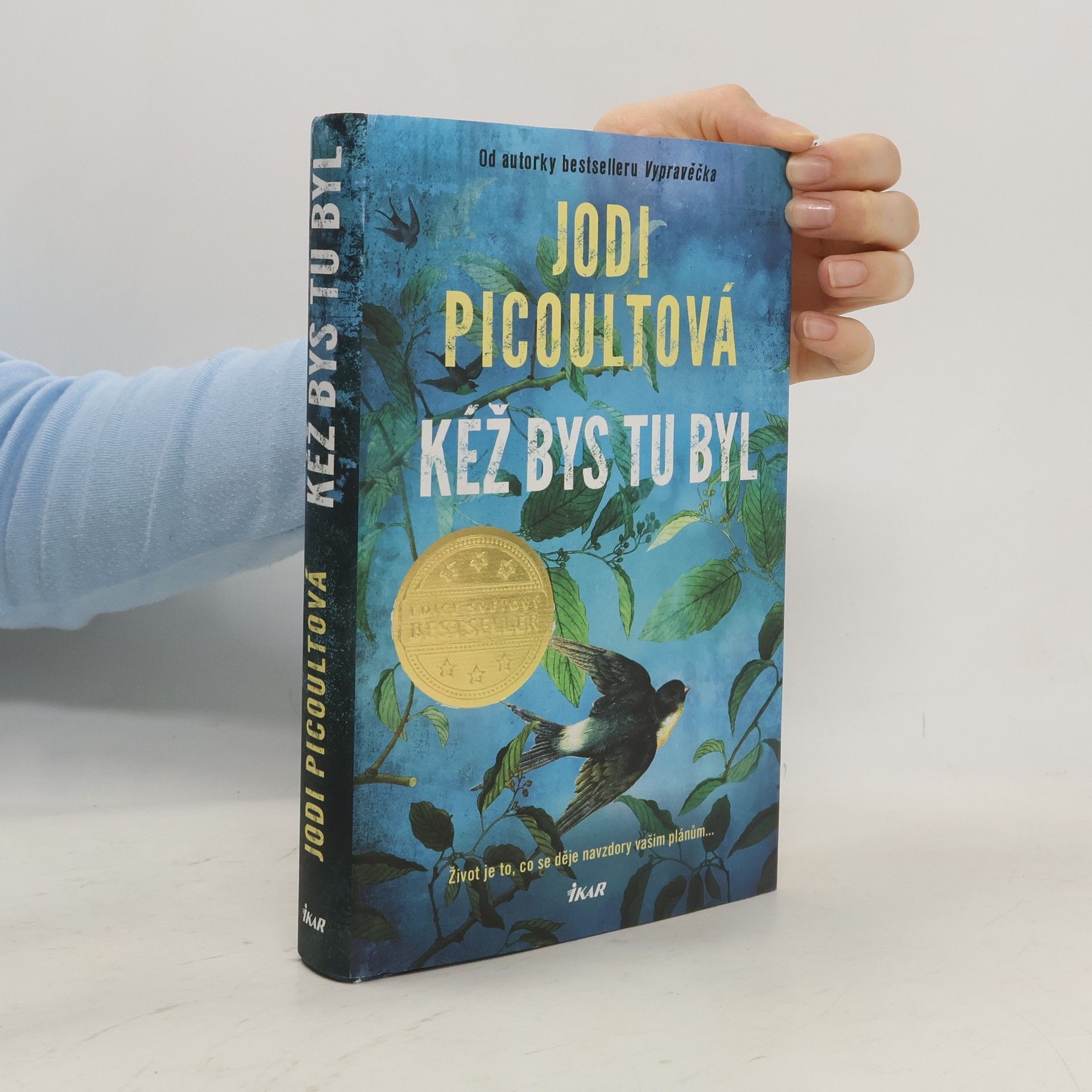 Jodi Picoult Kéž bys tu byl