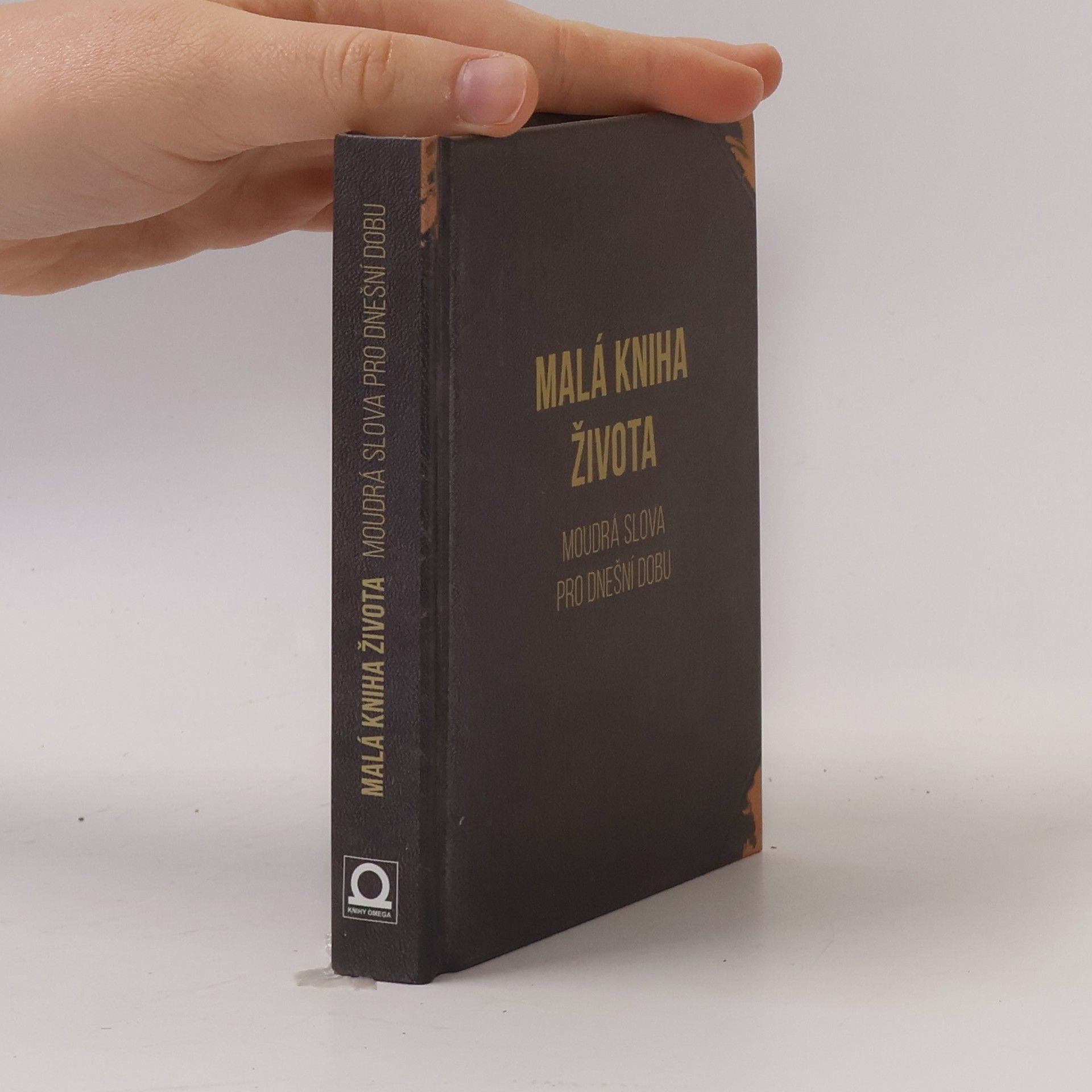 Various authors Malá kniha života - Moudrá slova pro dnešní dobu