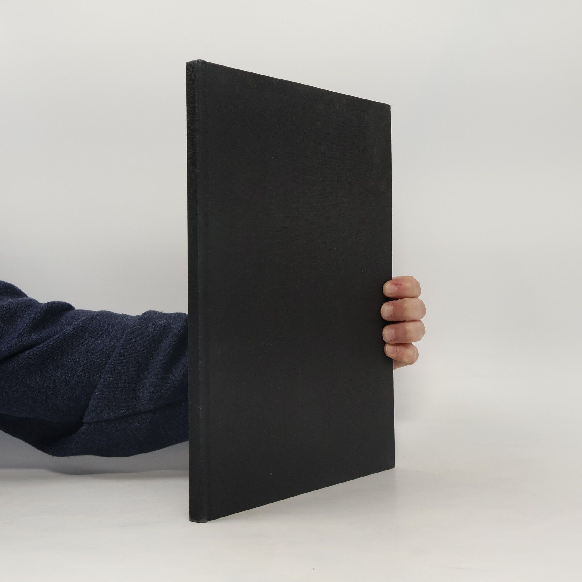 Vladimír Kozlík "Hovory" s Chan-Šanem : obrazová poezie