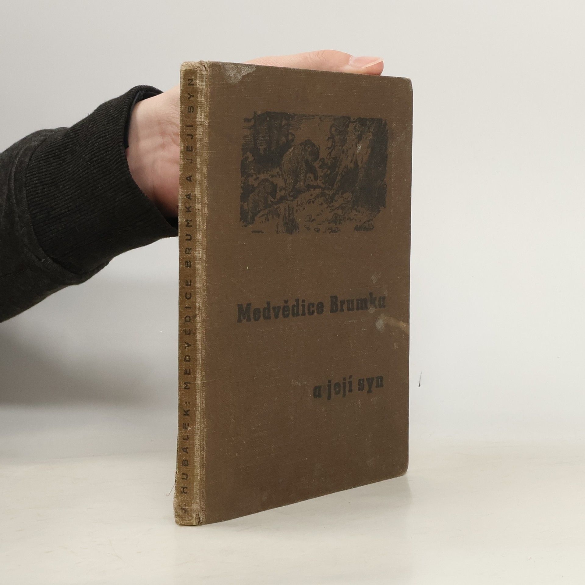 Medvědice Brumka a její syn