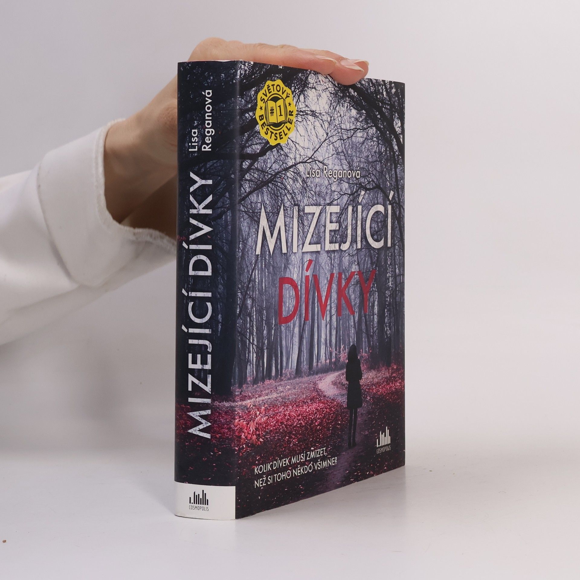 Lisa Regan Mizející dívky