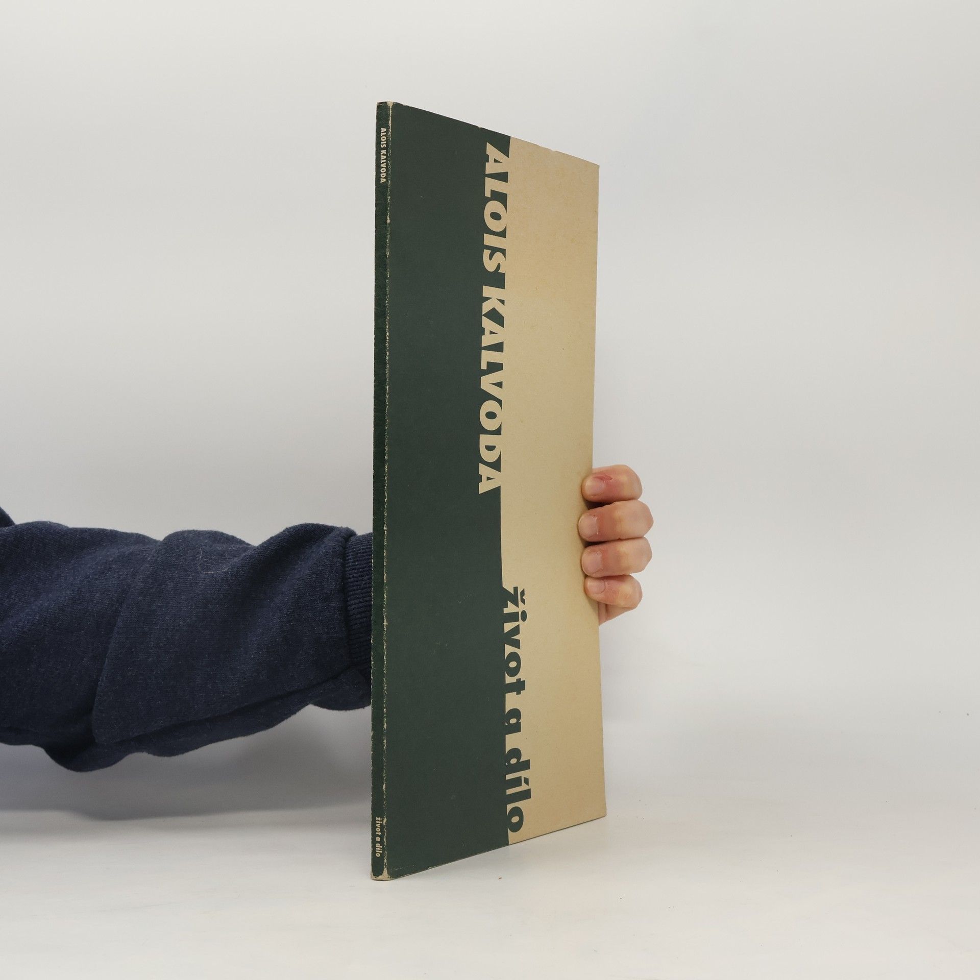 Kalvoda Alois Alois Kalvoda 1875-1934. Život a dílo. Jihlava 18.6.-30.8.1998