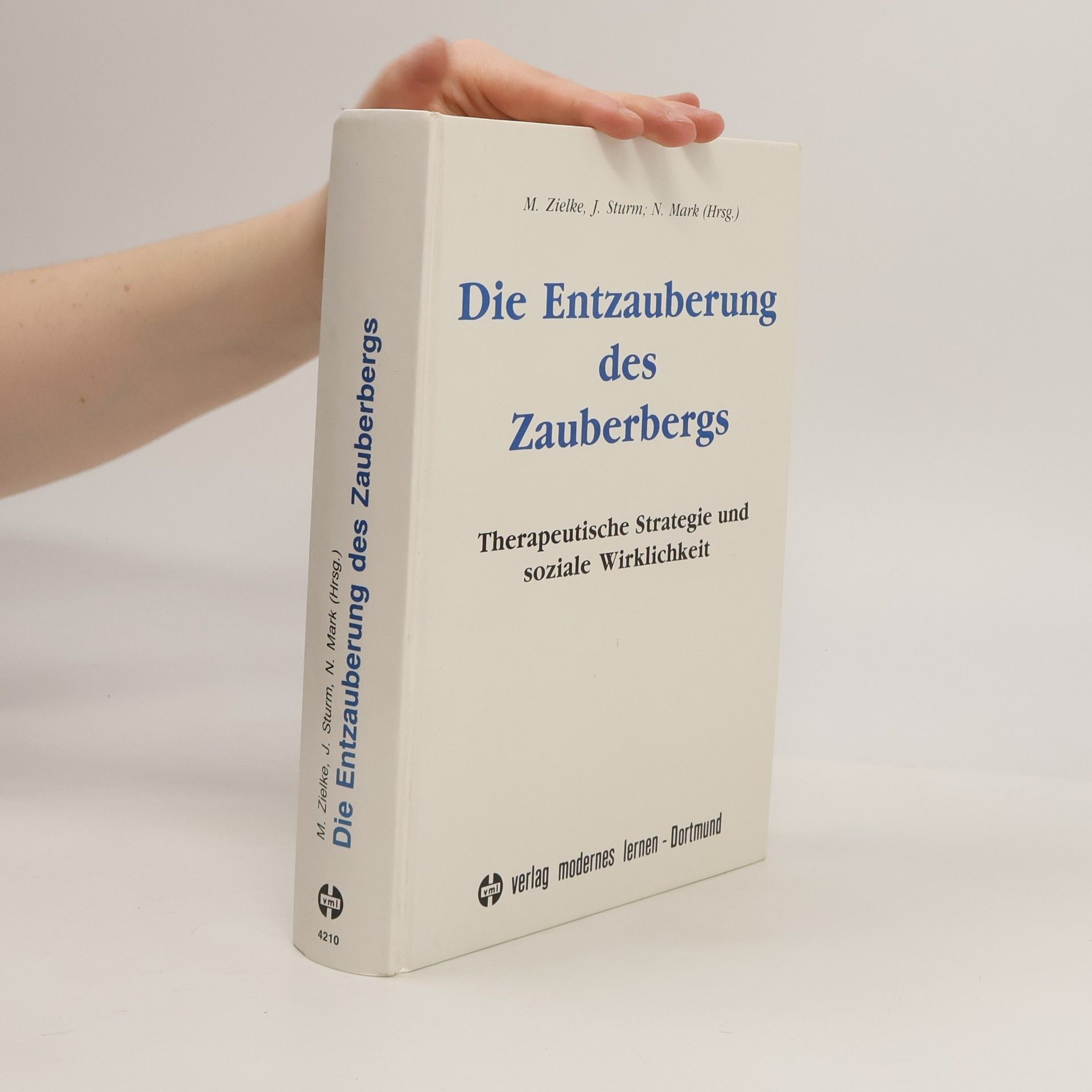 Manfred Zielke Die Entzauberung des Zauberbergs