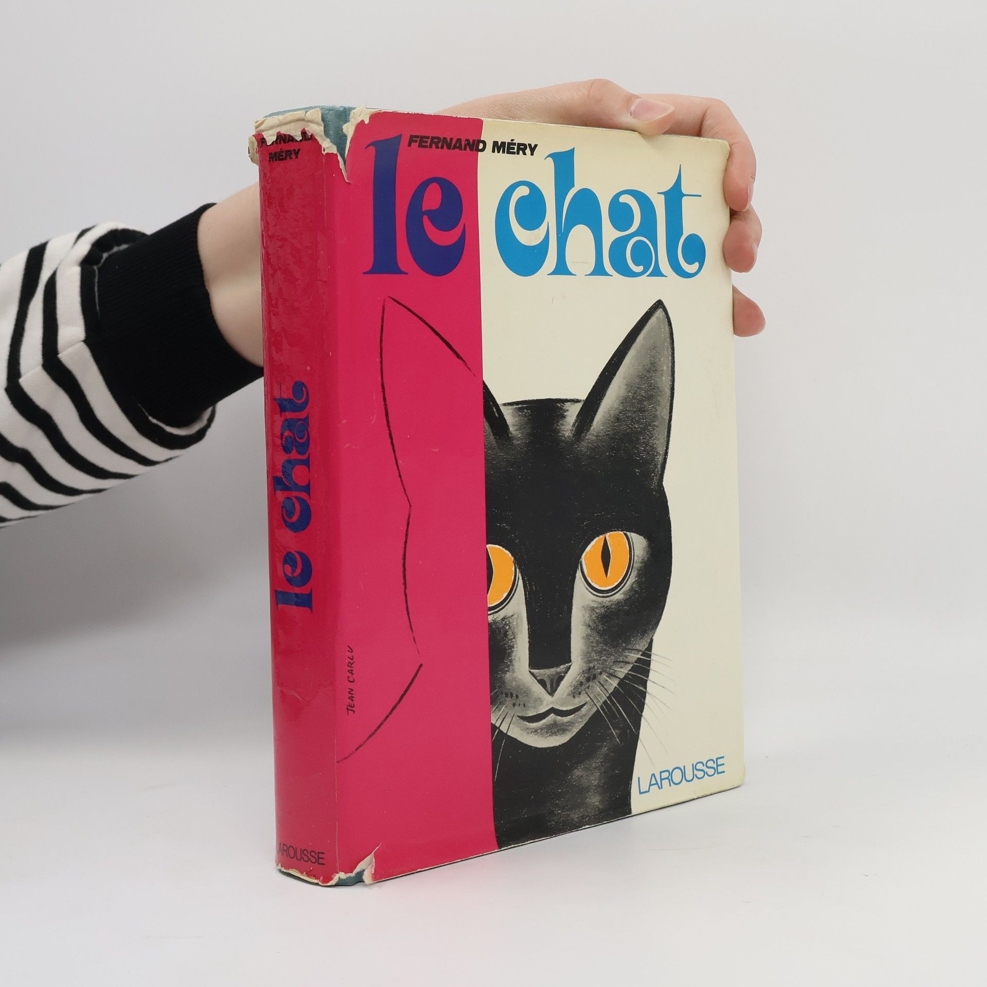 Fernand Méry Le chat