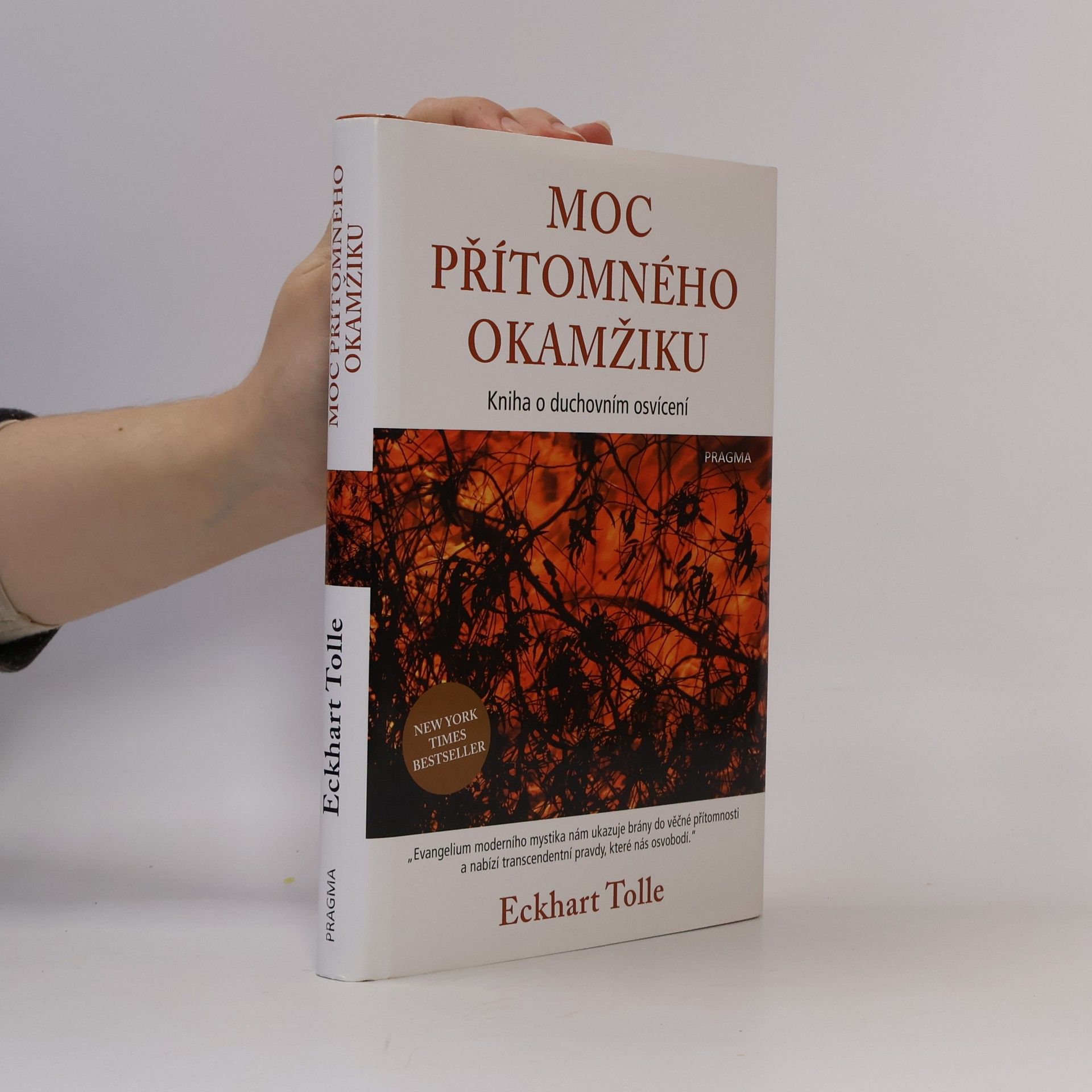 Eckhart Tolle Moc přítomného okamžiku