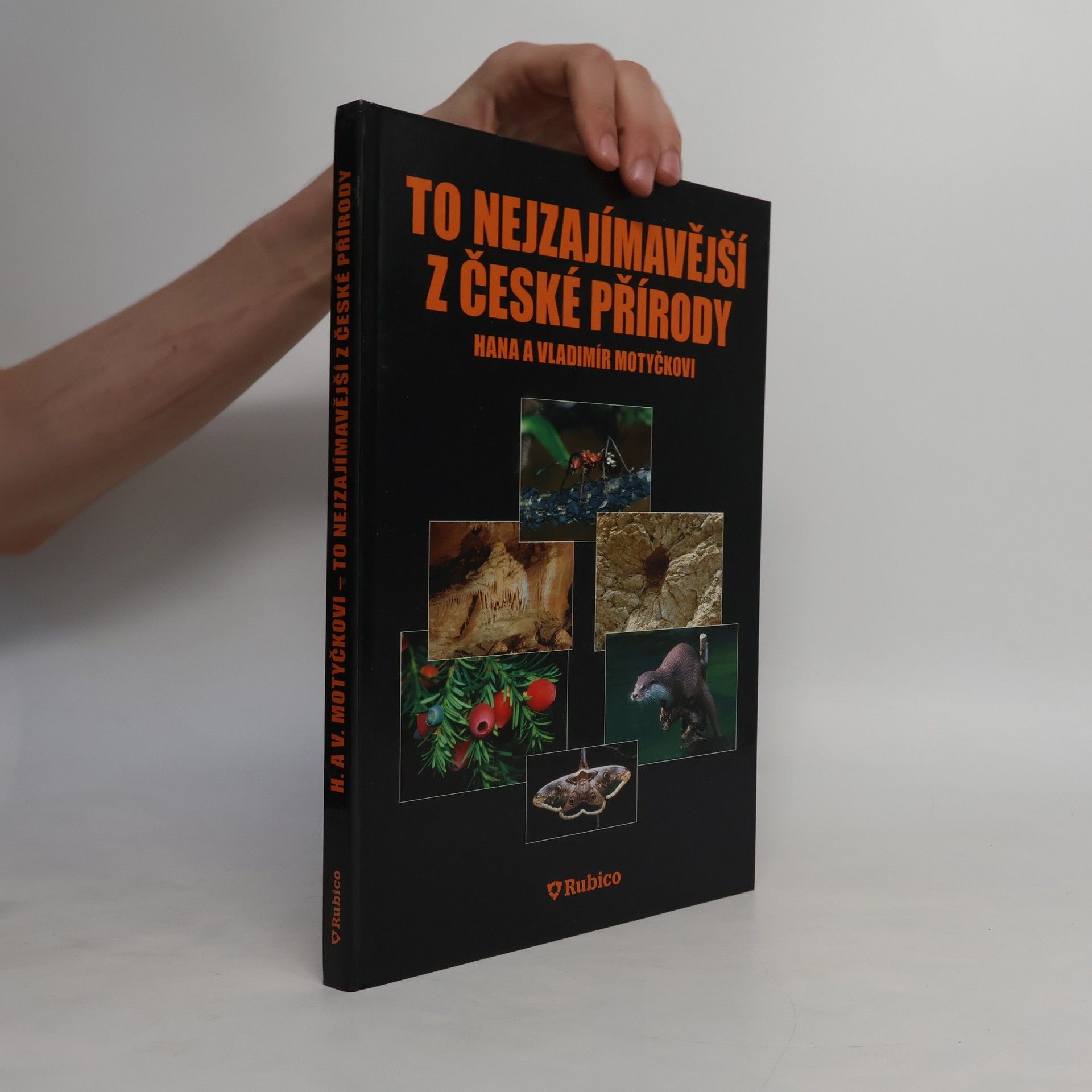 To nejzajímavější z české přírody