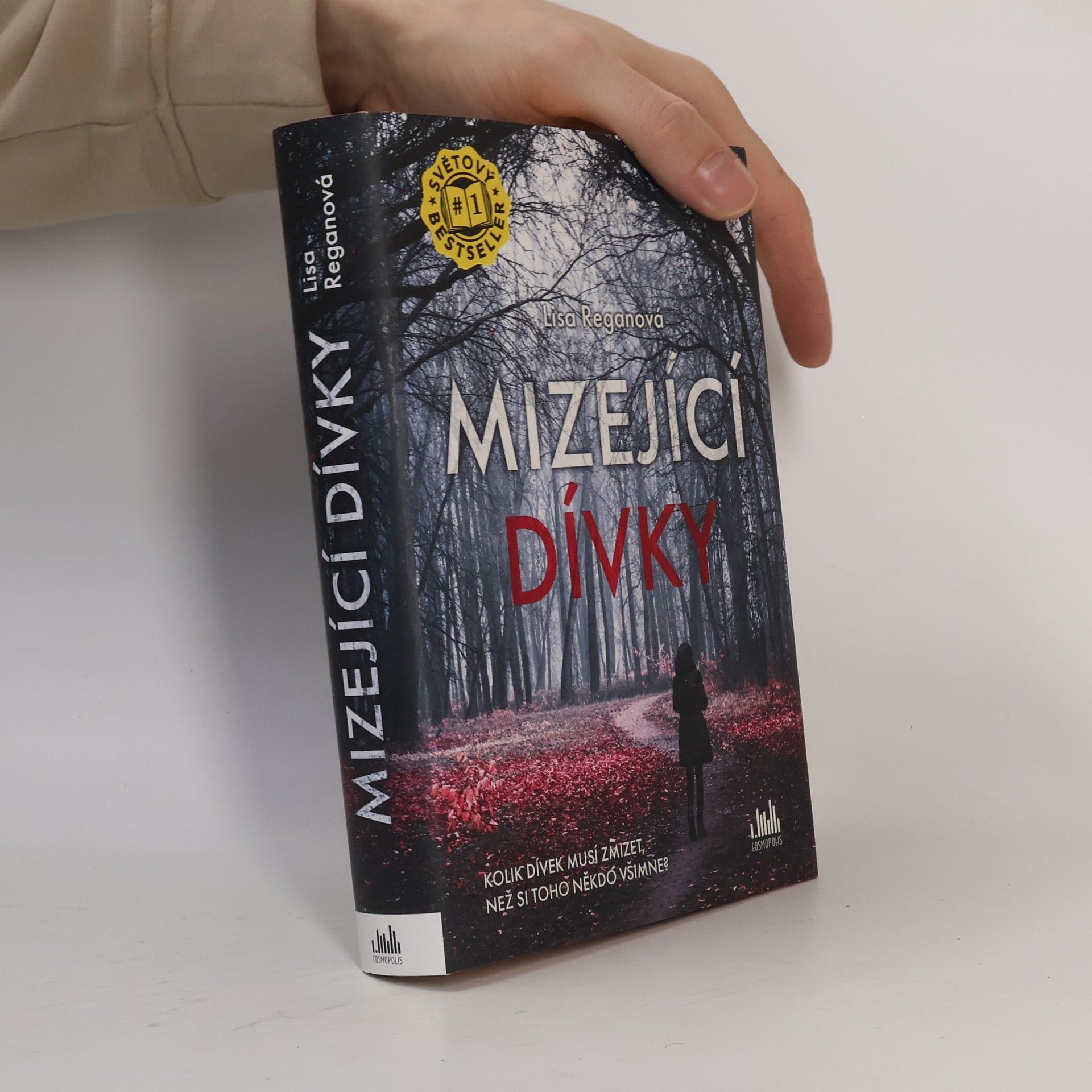 Lisa Regan Mizející dívky