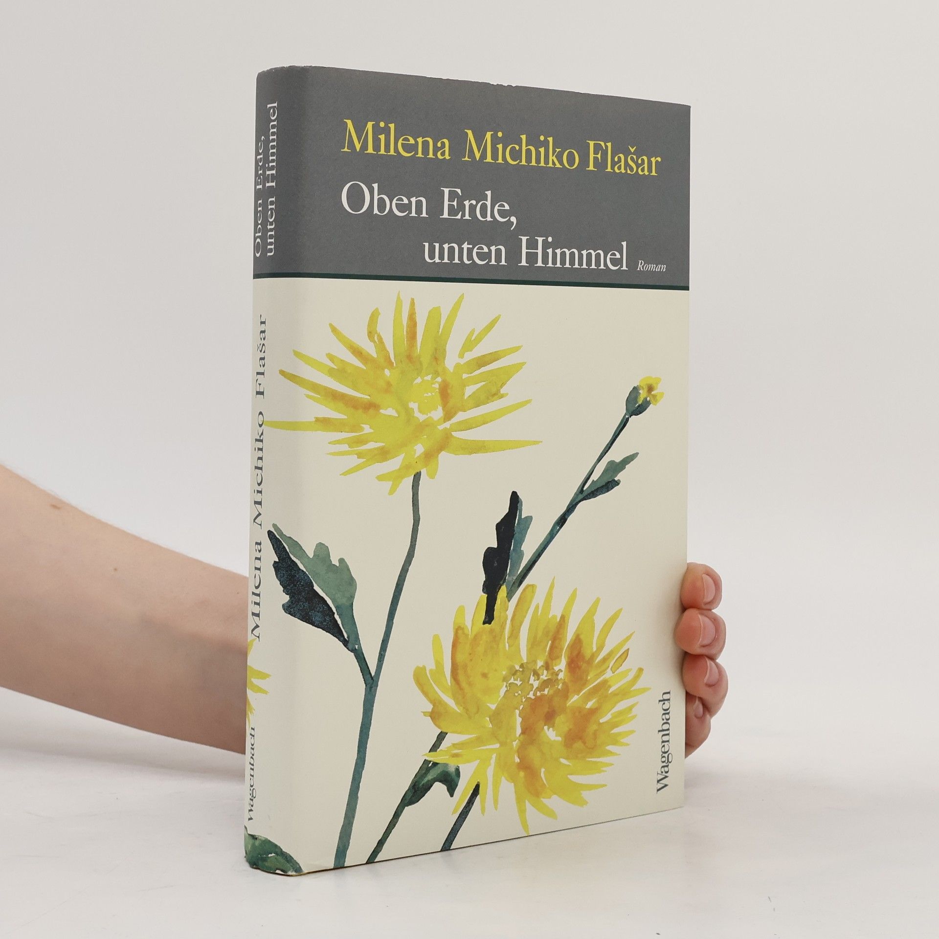 Milena Michiko Flašar Oben Erde, unten Himmel