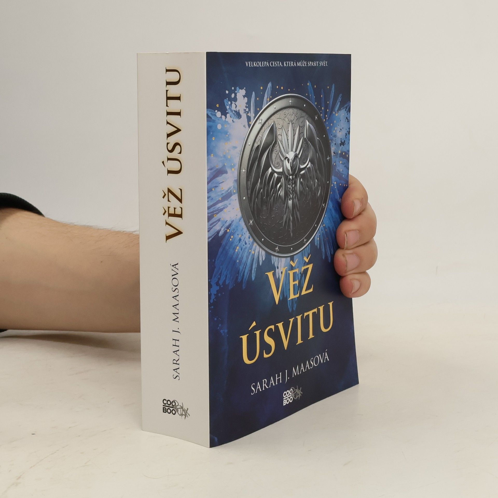 Sarah J. Maas Věž úsvitu