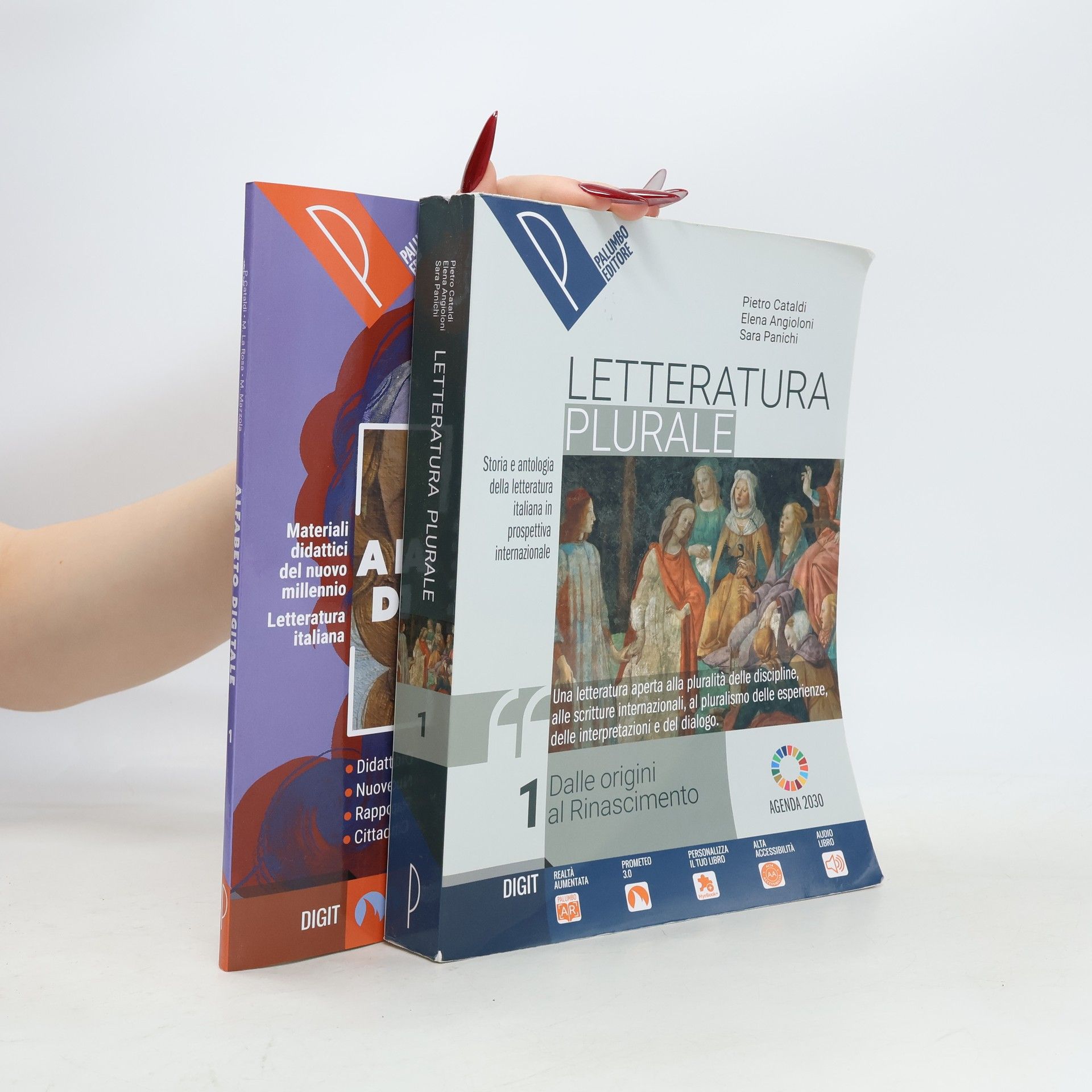 Pietro Cataldi Letteratura plurale 1