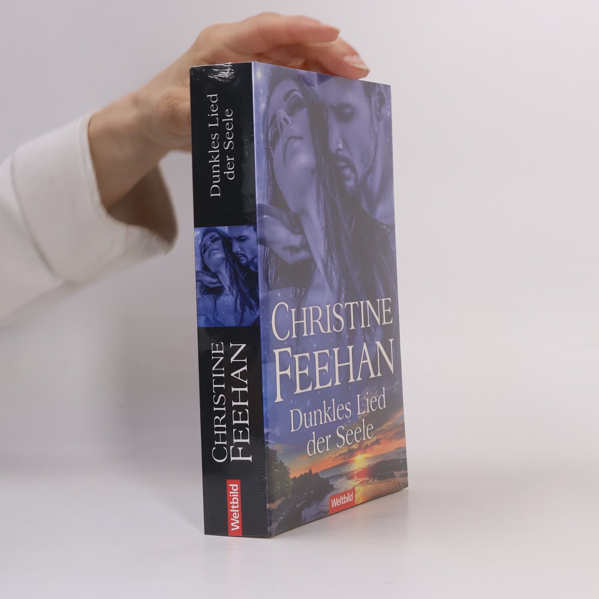 Christine Feehan Dunkles Lied der Seele