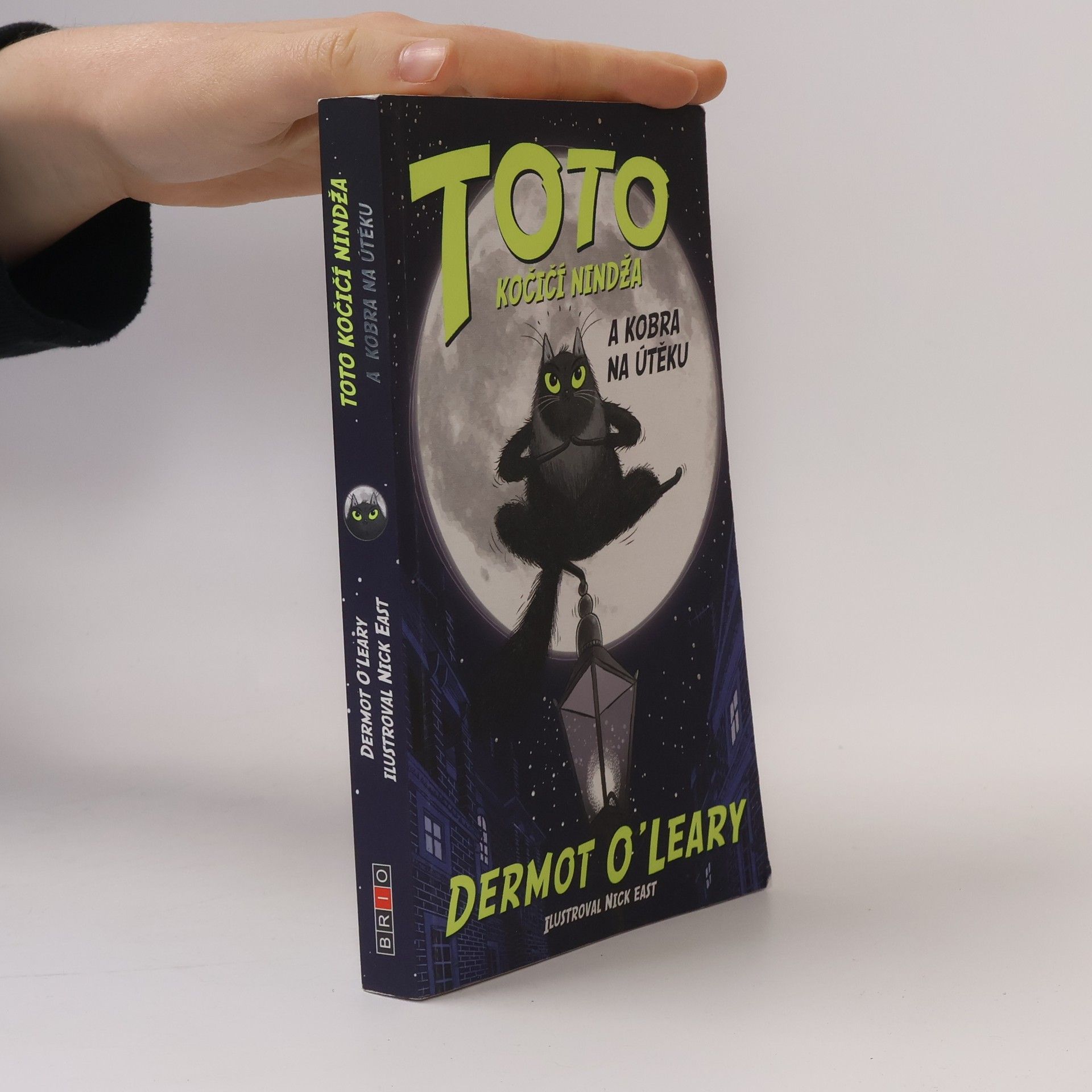 Dermot O\'Leary Toto kočičí nindža a kobra na útěku