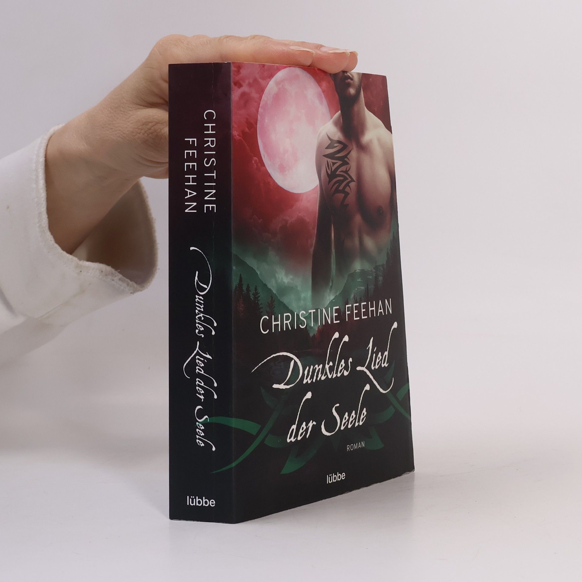 Christine Feehan Dunkles Lied der Seele