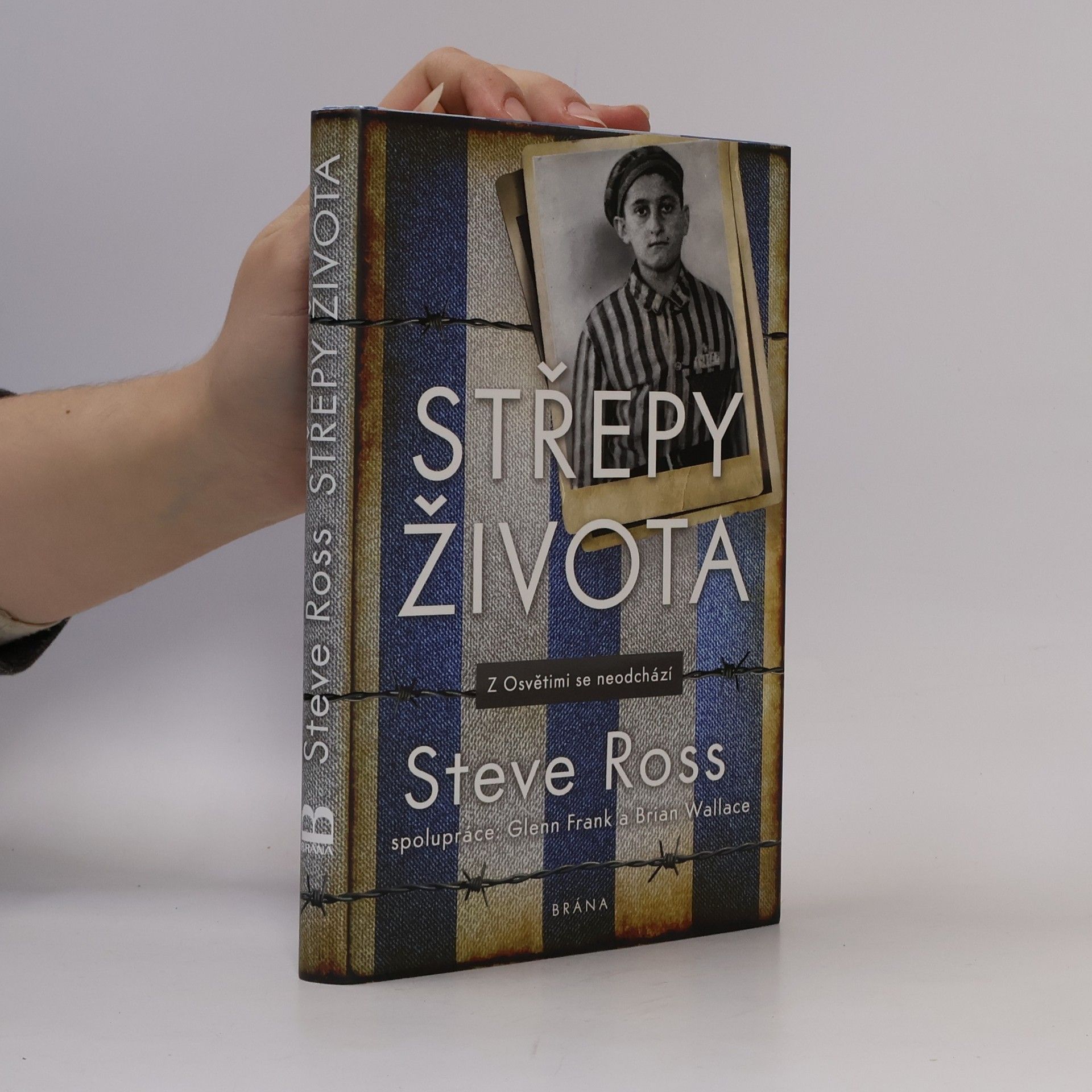 Steve Ross Střepy života