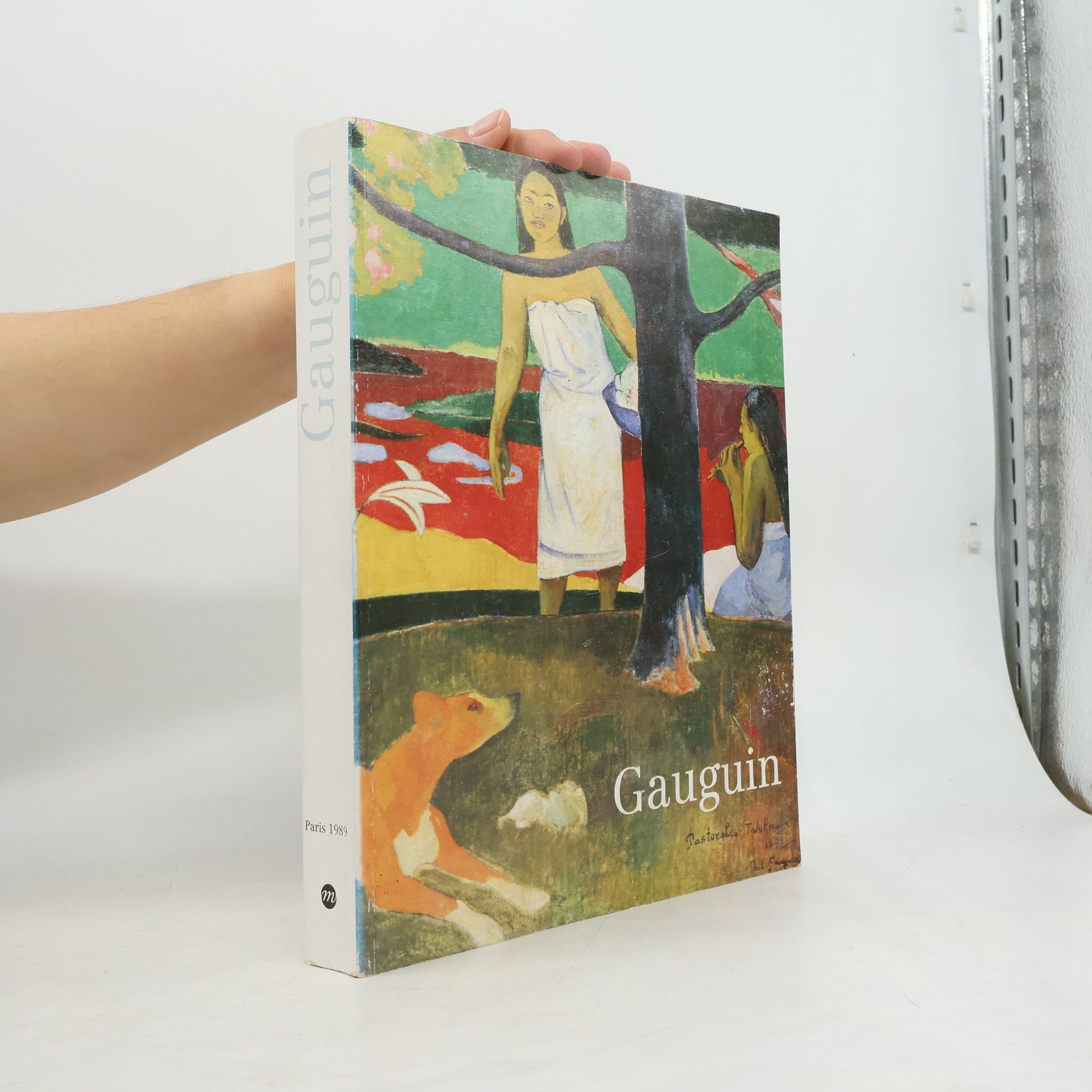 Kolektiv autorů Gauguin : Galeries nationales du Grand Palais Paris