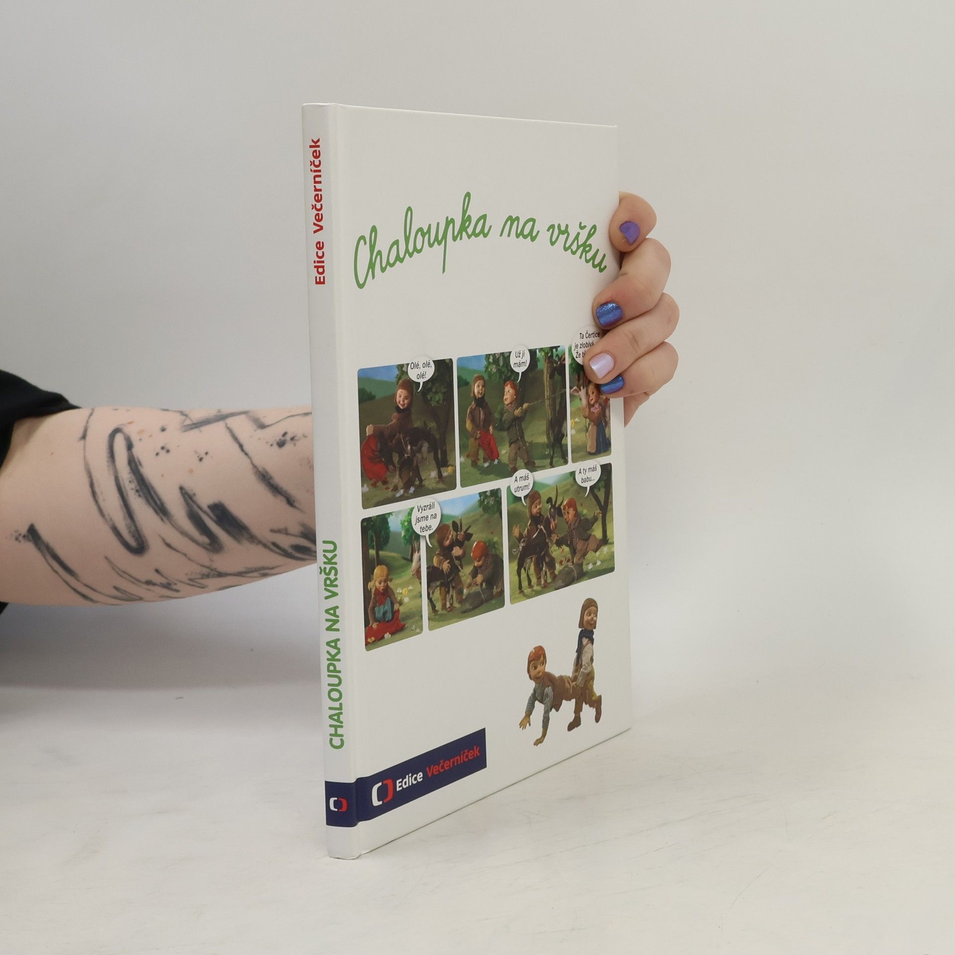 Šárka Váchová Chaloupka na vršku