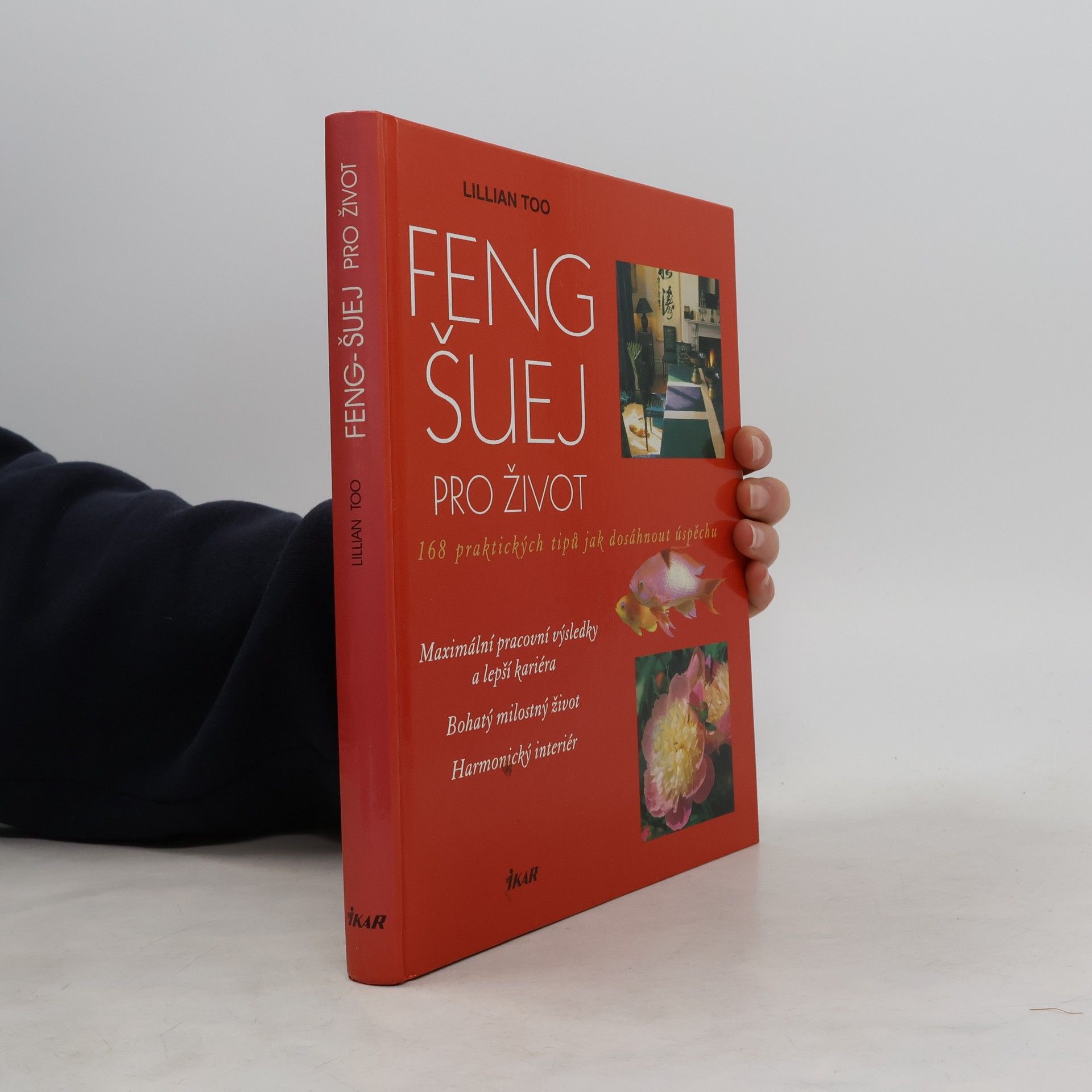 Lillian Too Feng-šuej pro život : 168 praktických tipů jak dosáhnout úspěchu